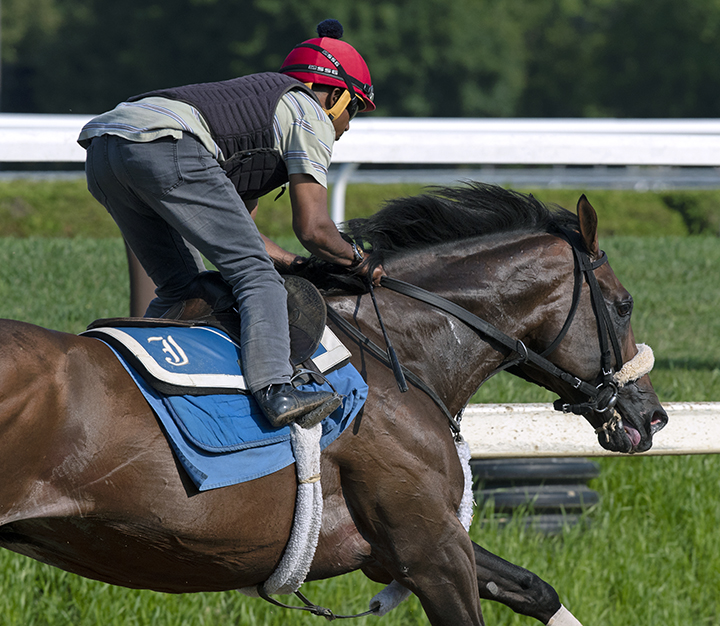 Preservationist trains at Saratoga Race Course on July 27