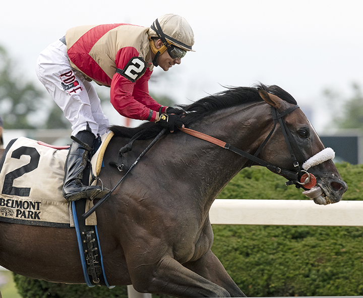Preservationist wins the 2019 Suburban