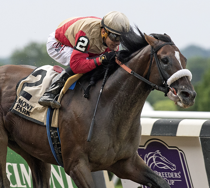 Preservationist wins the 2019 Suburban