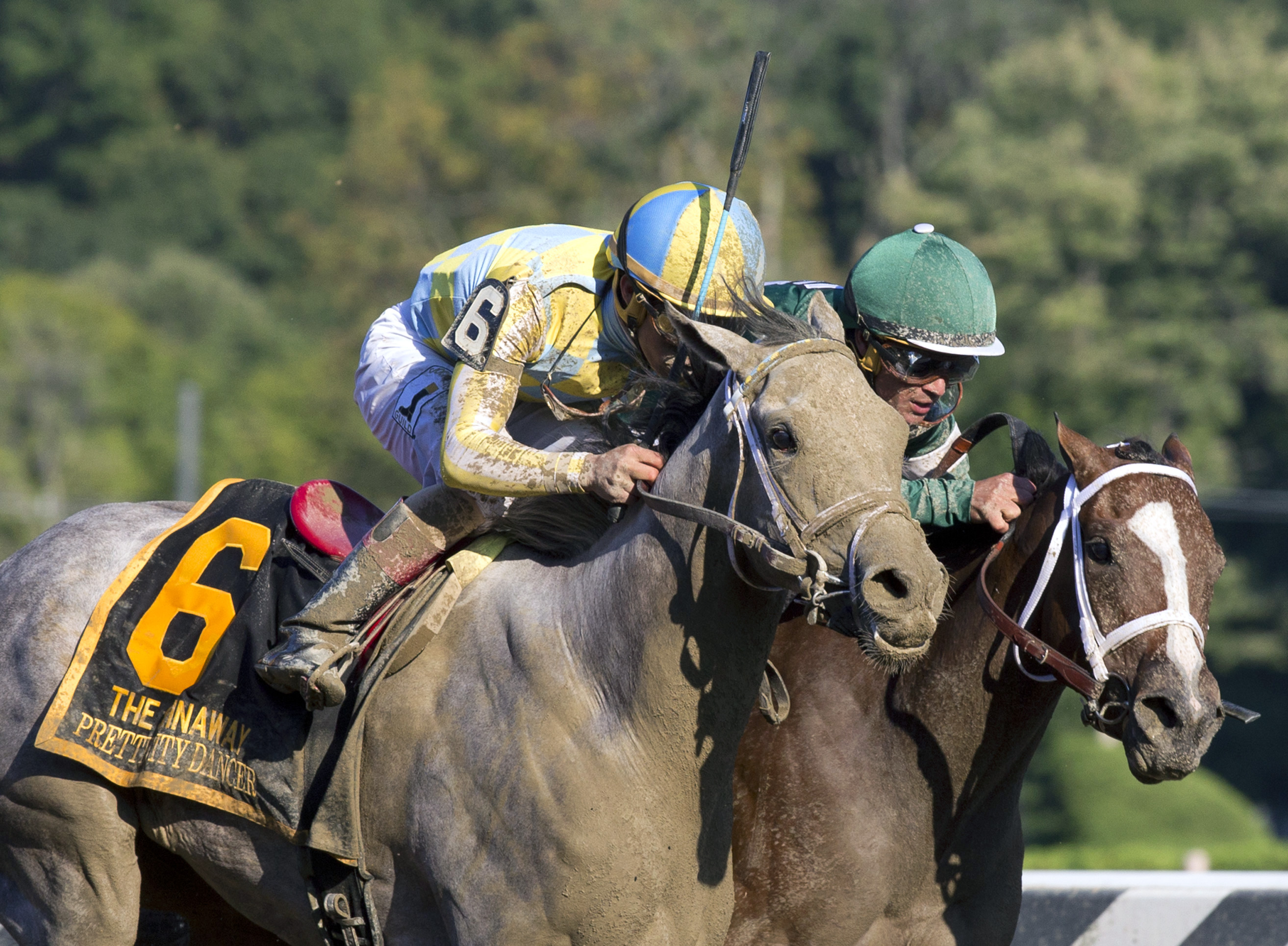 Pretty City Dancer wins the Spinaway