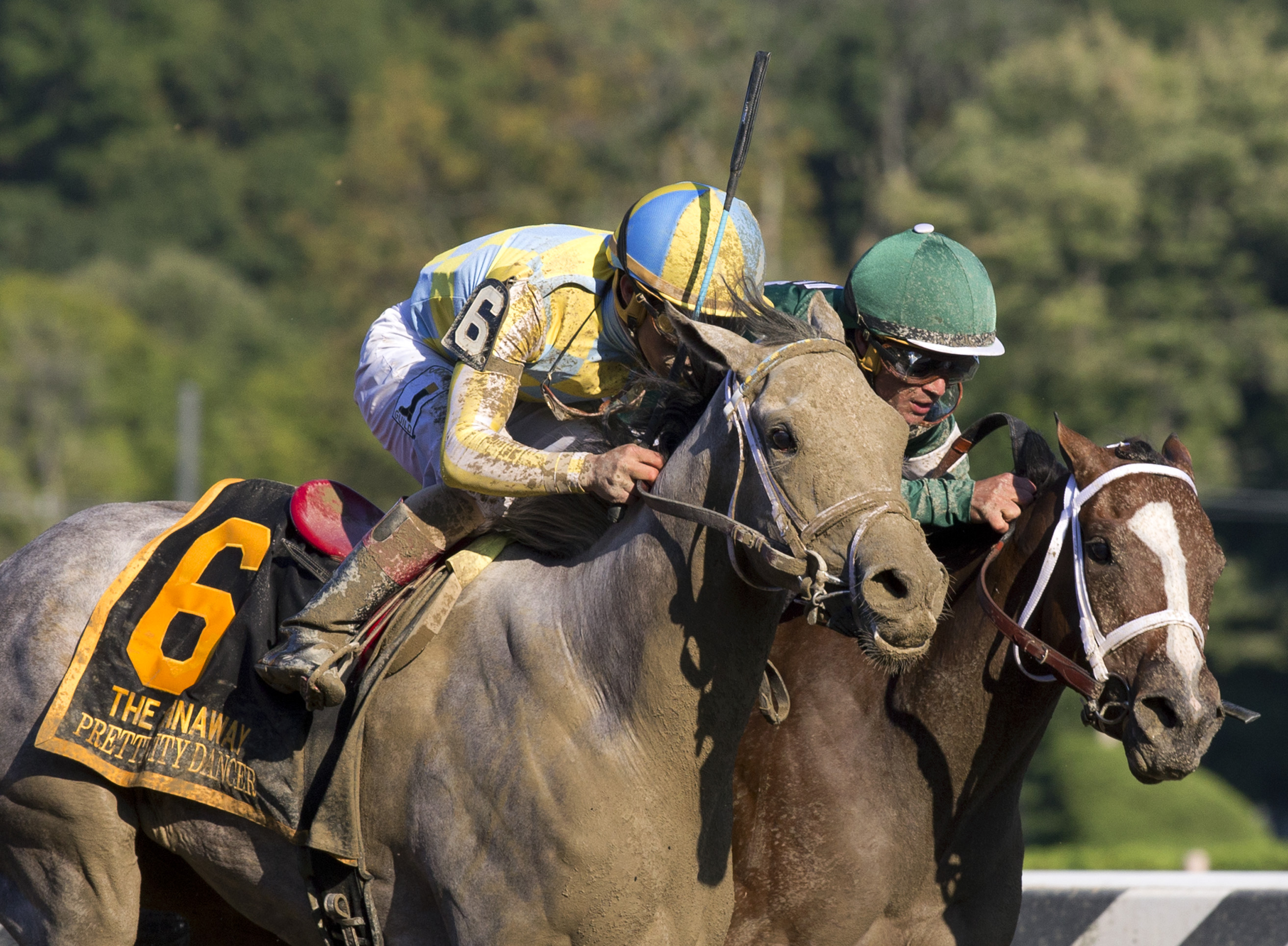 Pretty City Dancer dead heats with Sweet Loretta in the 2016 Spinaway