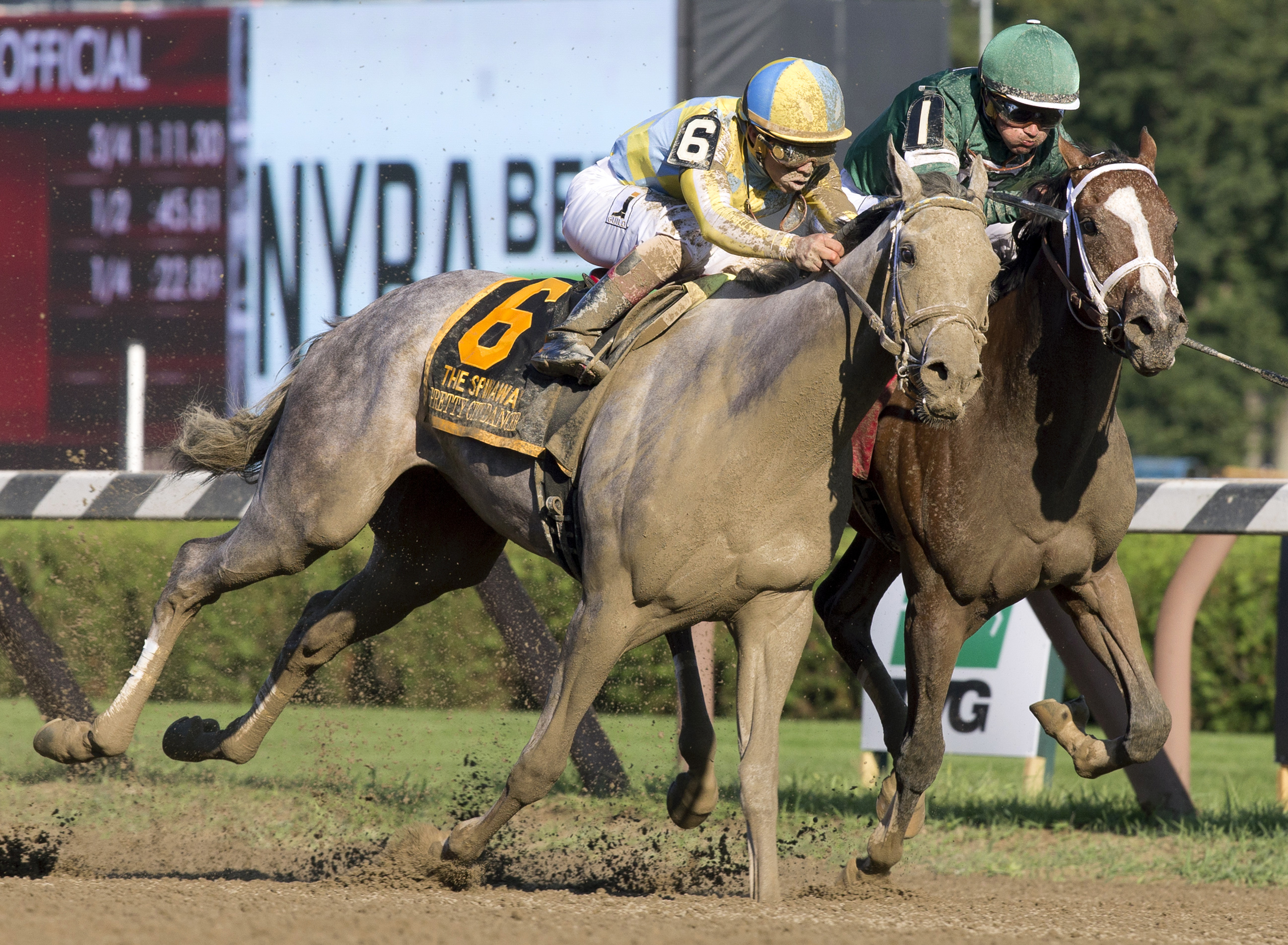 Pretty City Dancer and Sweet Loretta dead heat the Spinaway