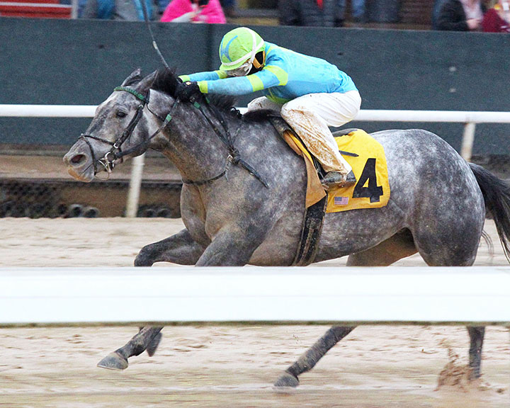 Pretty Greeley wins a Feb. 10 allowance race