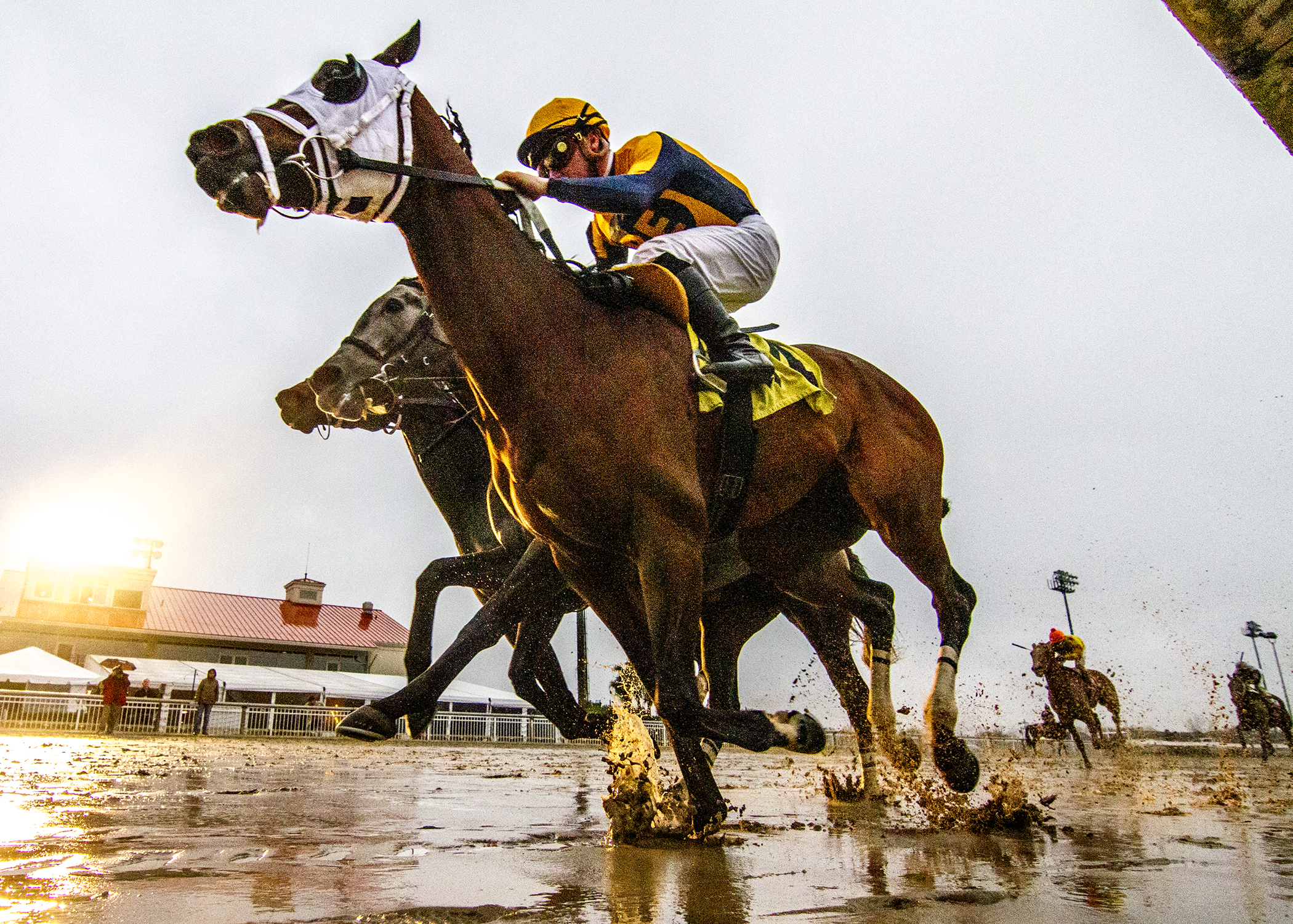 Pretty Lady wins the 2018 Pago Hop Stakes