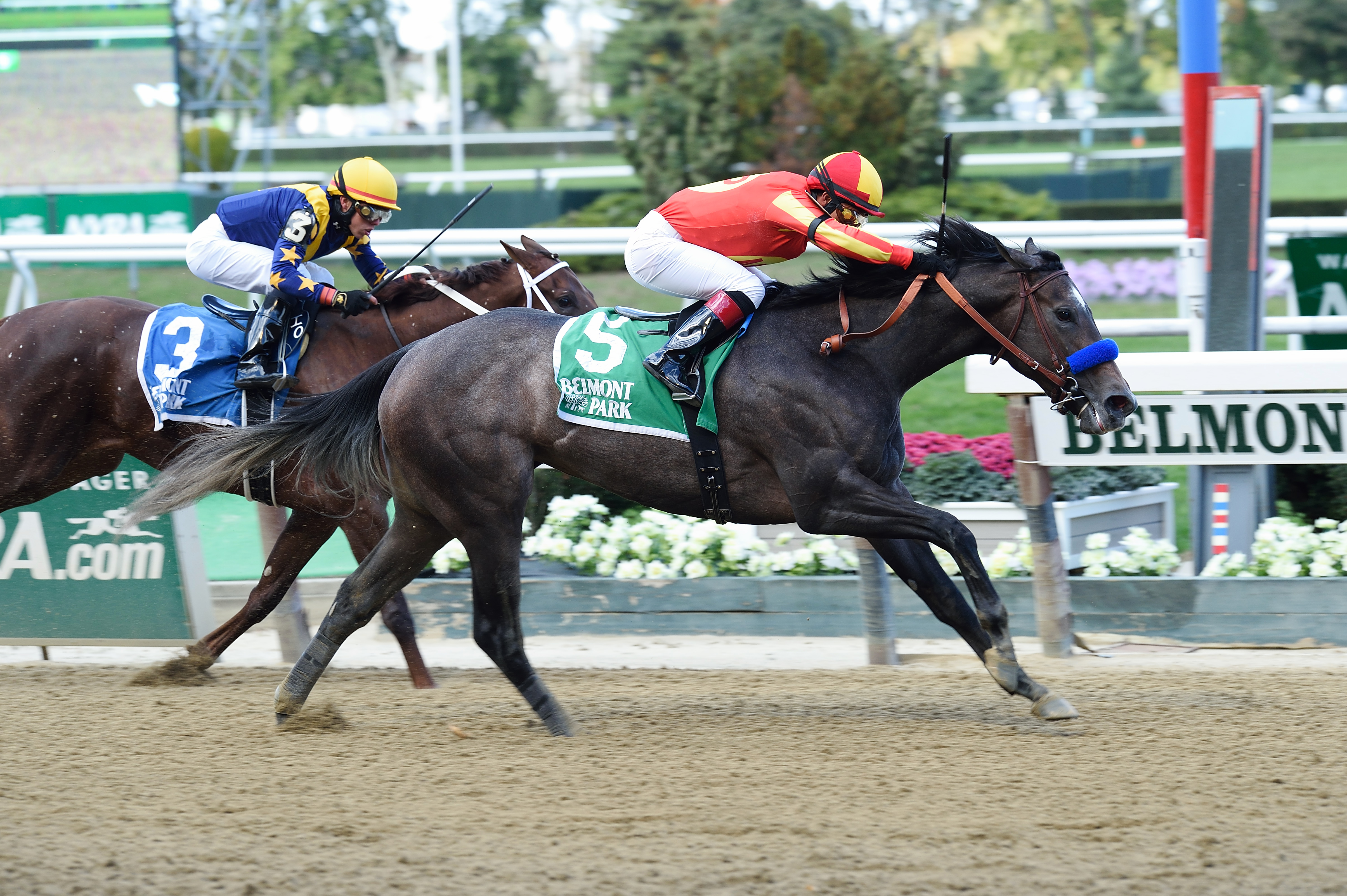 Pretty N Cool wins the Matron Stakes