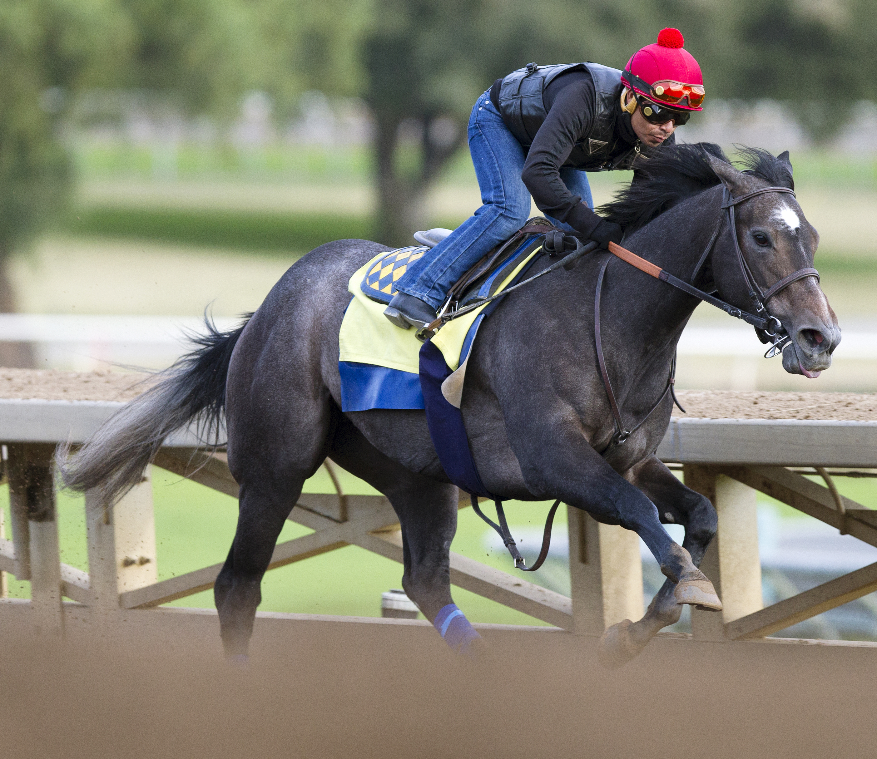 Pretty N Cool trains at Santa Anita on Dec. 6