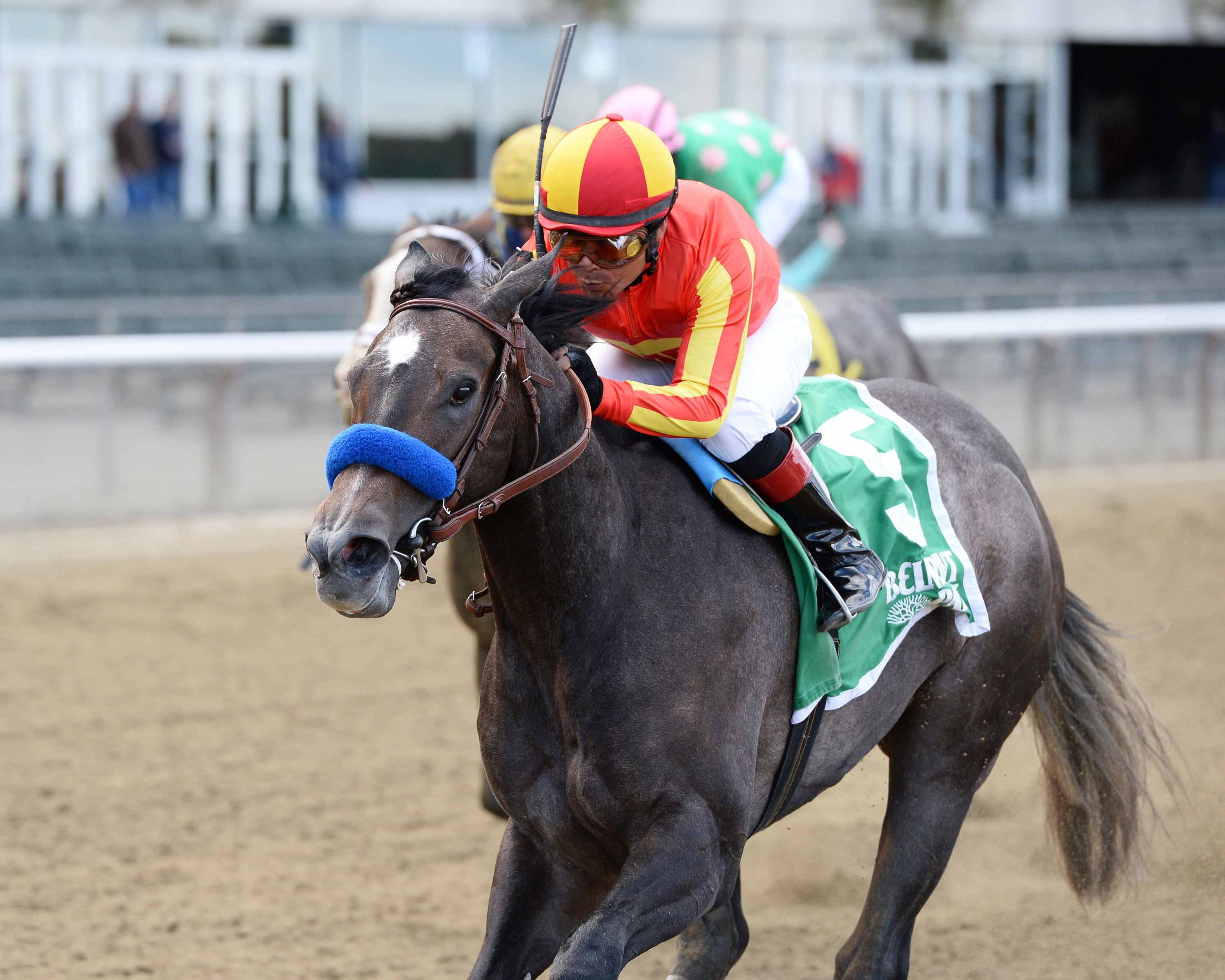 Pretty N Cool wins the Matron