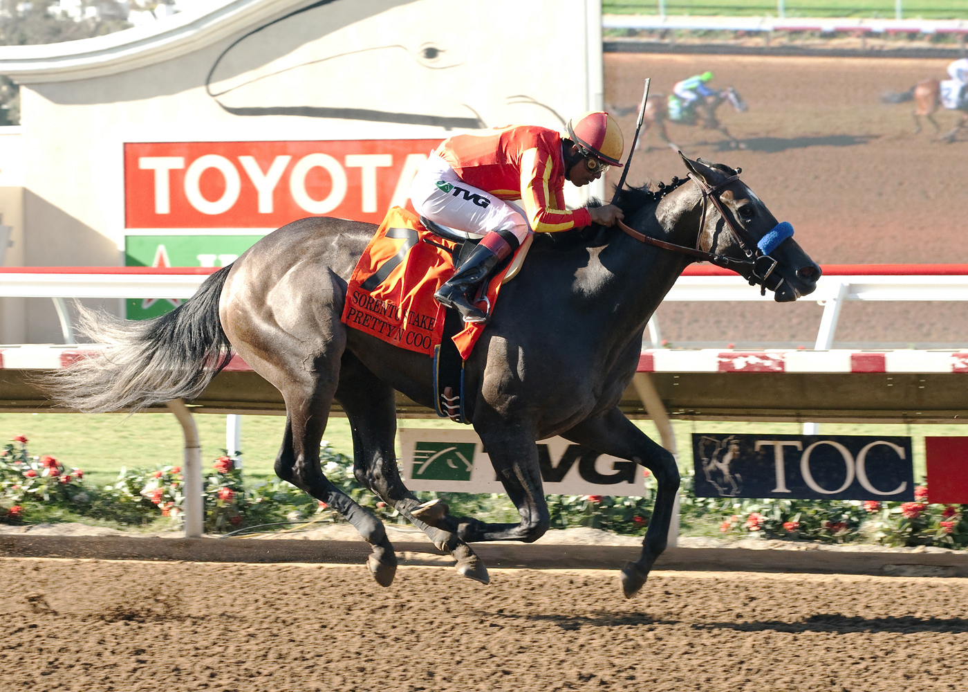 Pretty N Cool wins the Sorrento Stakes