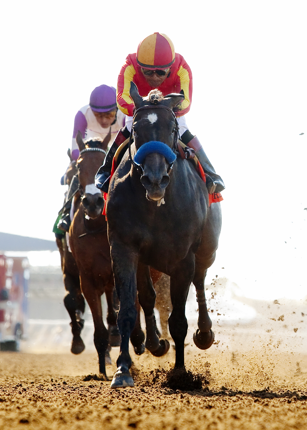 Pretty N Cool wins the Sorrento Stakes