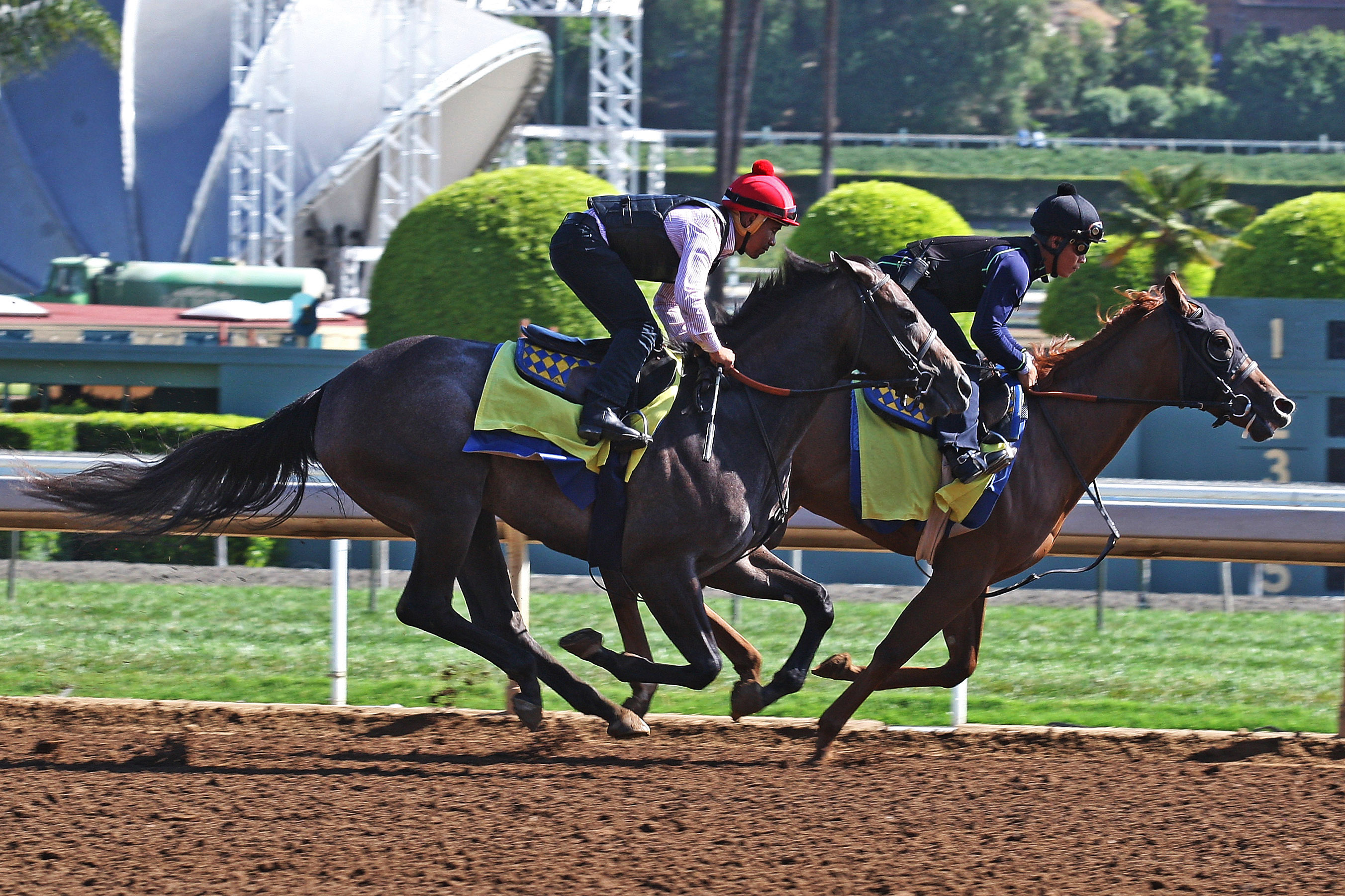 Pretty N Cool training at Santa Anita
