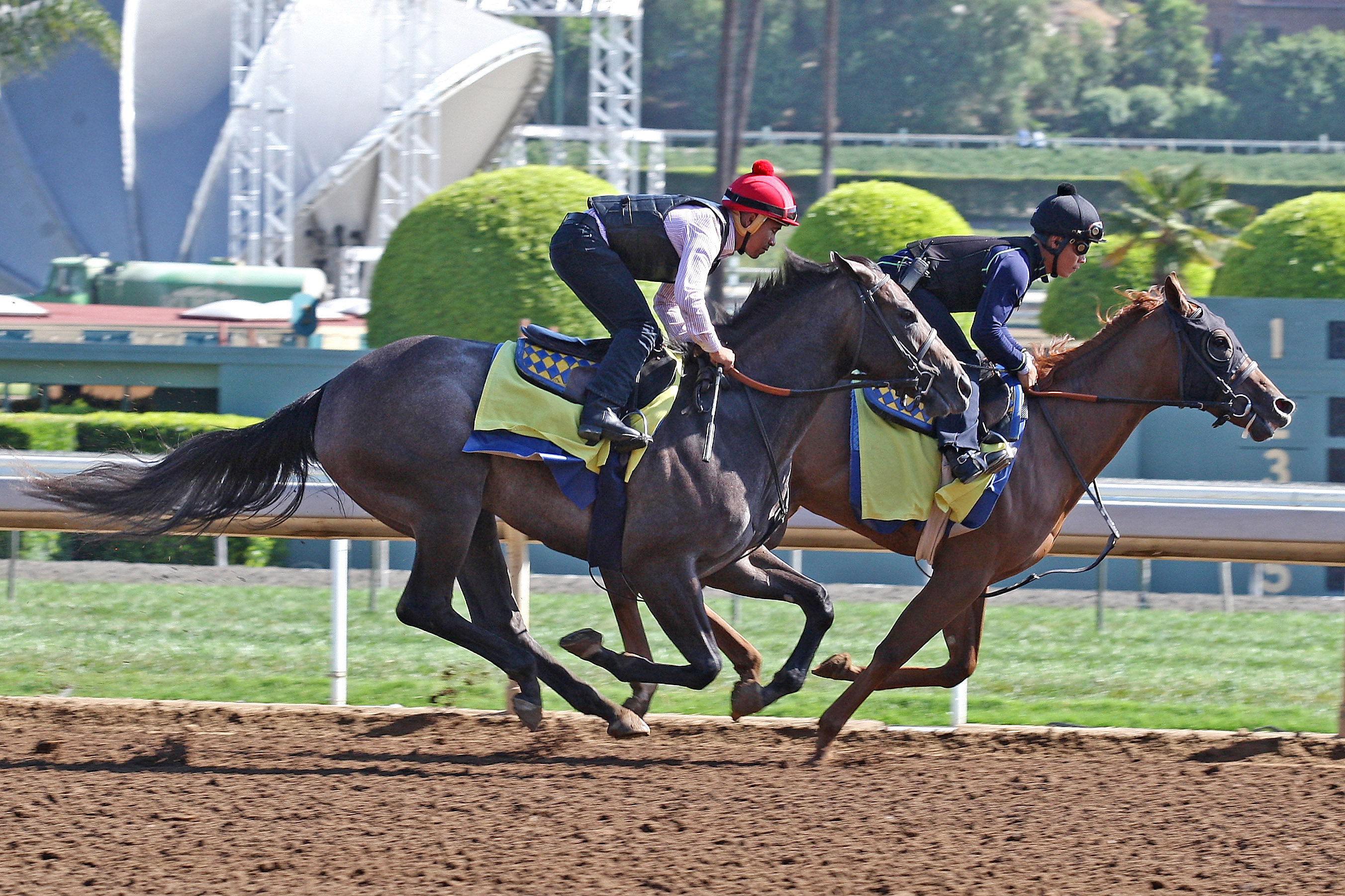 Pretty N Cool trains at Santa Anita in June