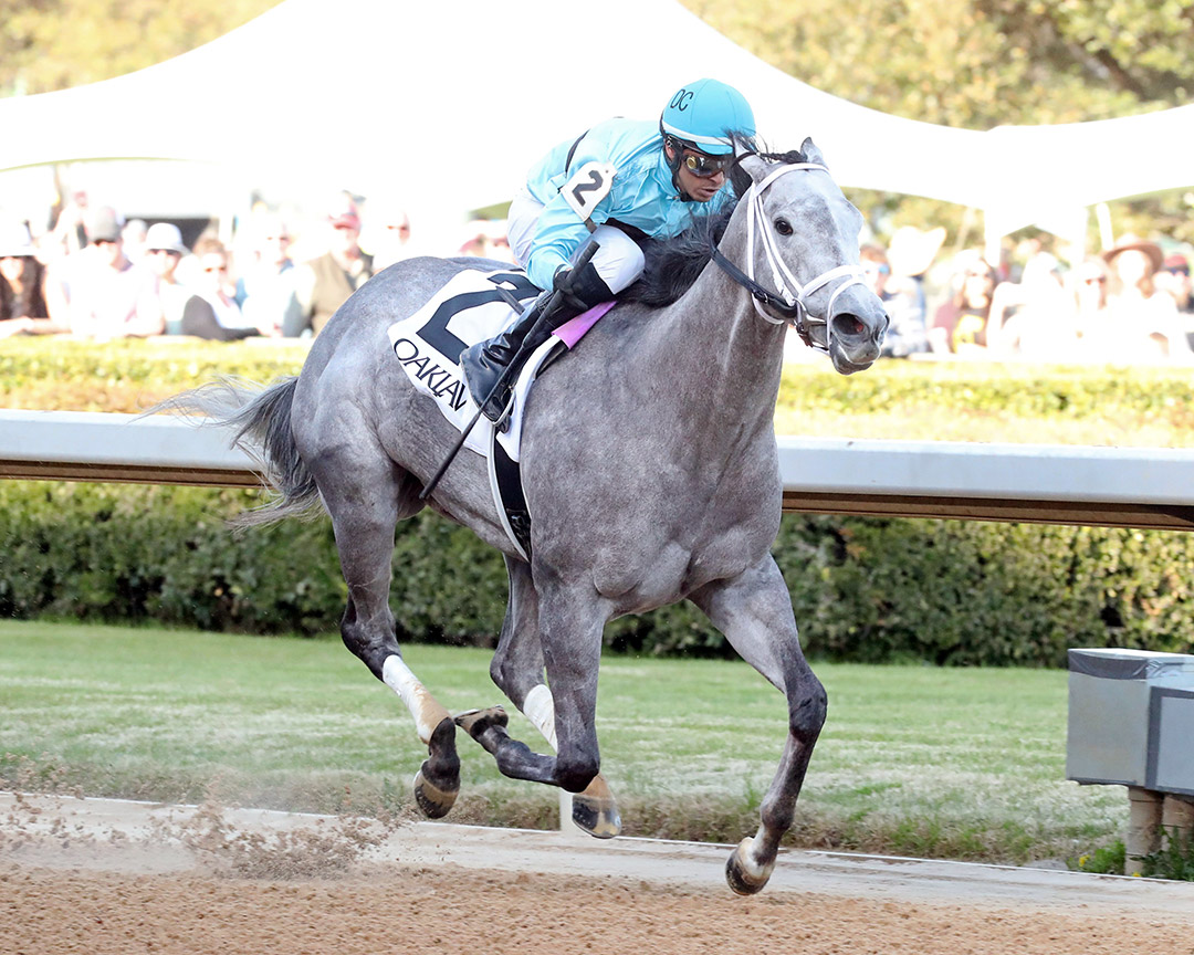 Pretty Birdie wins the 2022 Purple Martin Stakes at Oaklawn