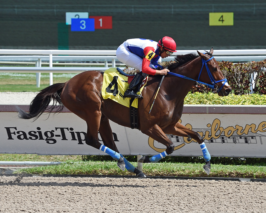 Pretty Rachel wins a Feb. 19 claiming race at Gulfstream Park