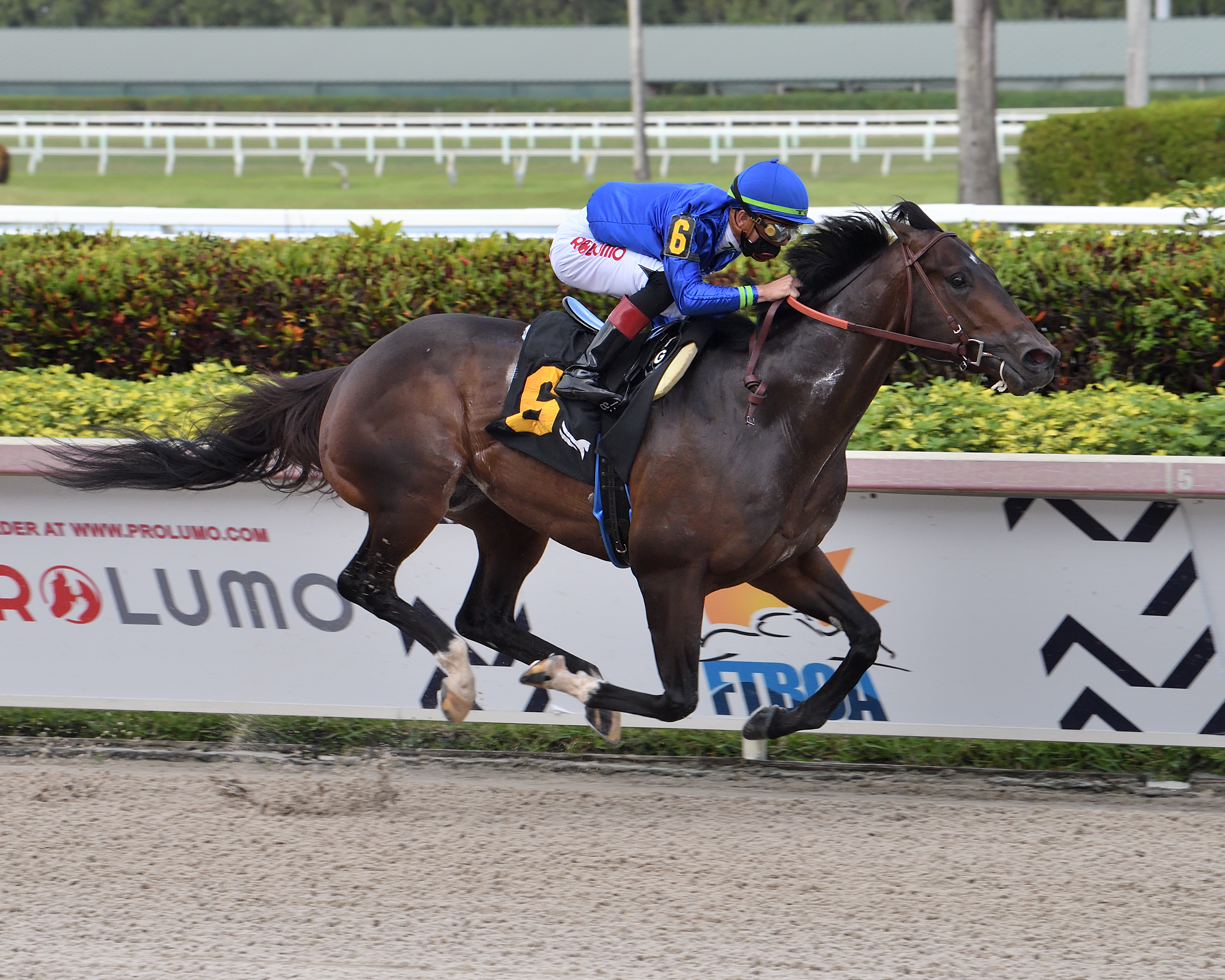 Prevalence wins Gulfstream allowance.3-11-2021