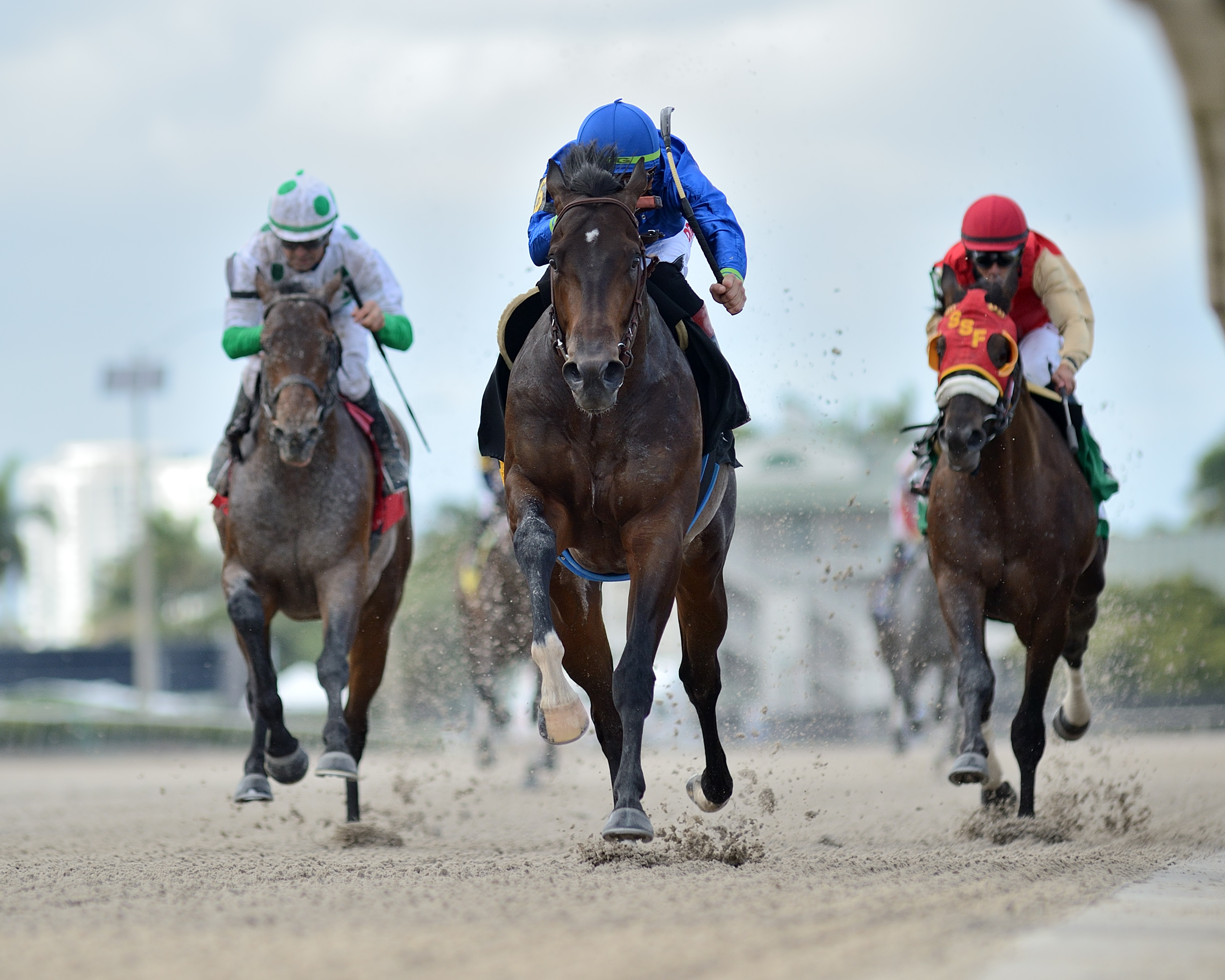 Prevalence scores allowance victory.3-12-2021