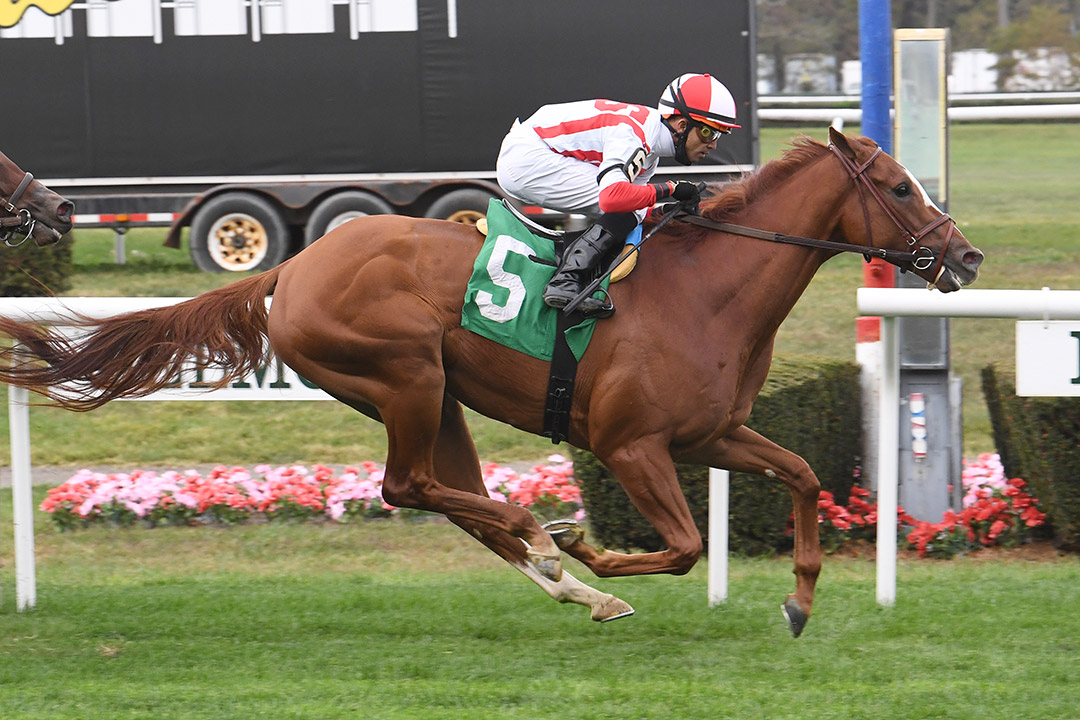 Price Talk wins an October 2020 allowance at Belmont