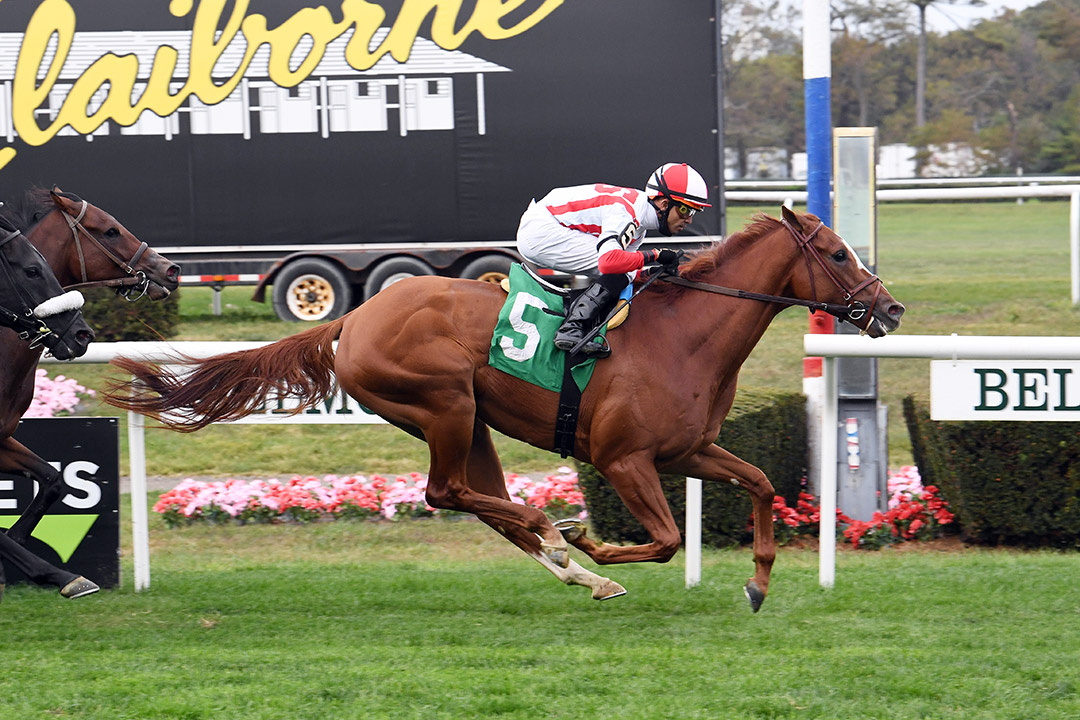 Price Talk wins an October 2020 allowance at Belmont Park