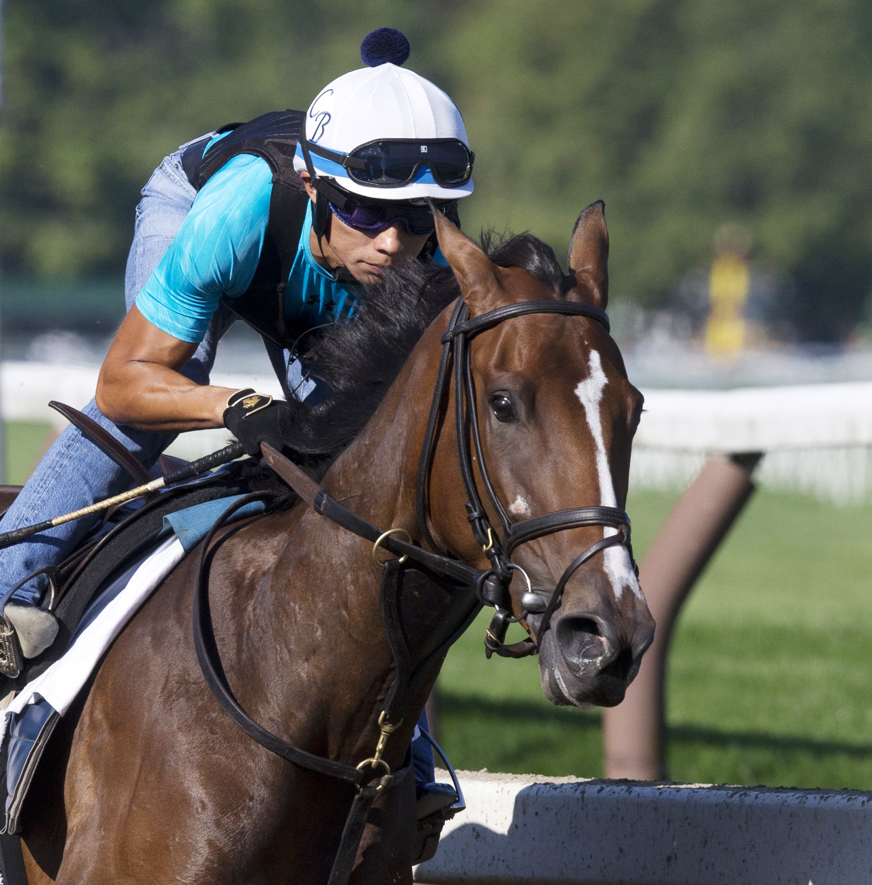 Pricedtoperfection trains at Saratoga on Aug. 19