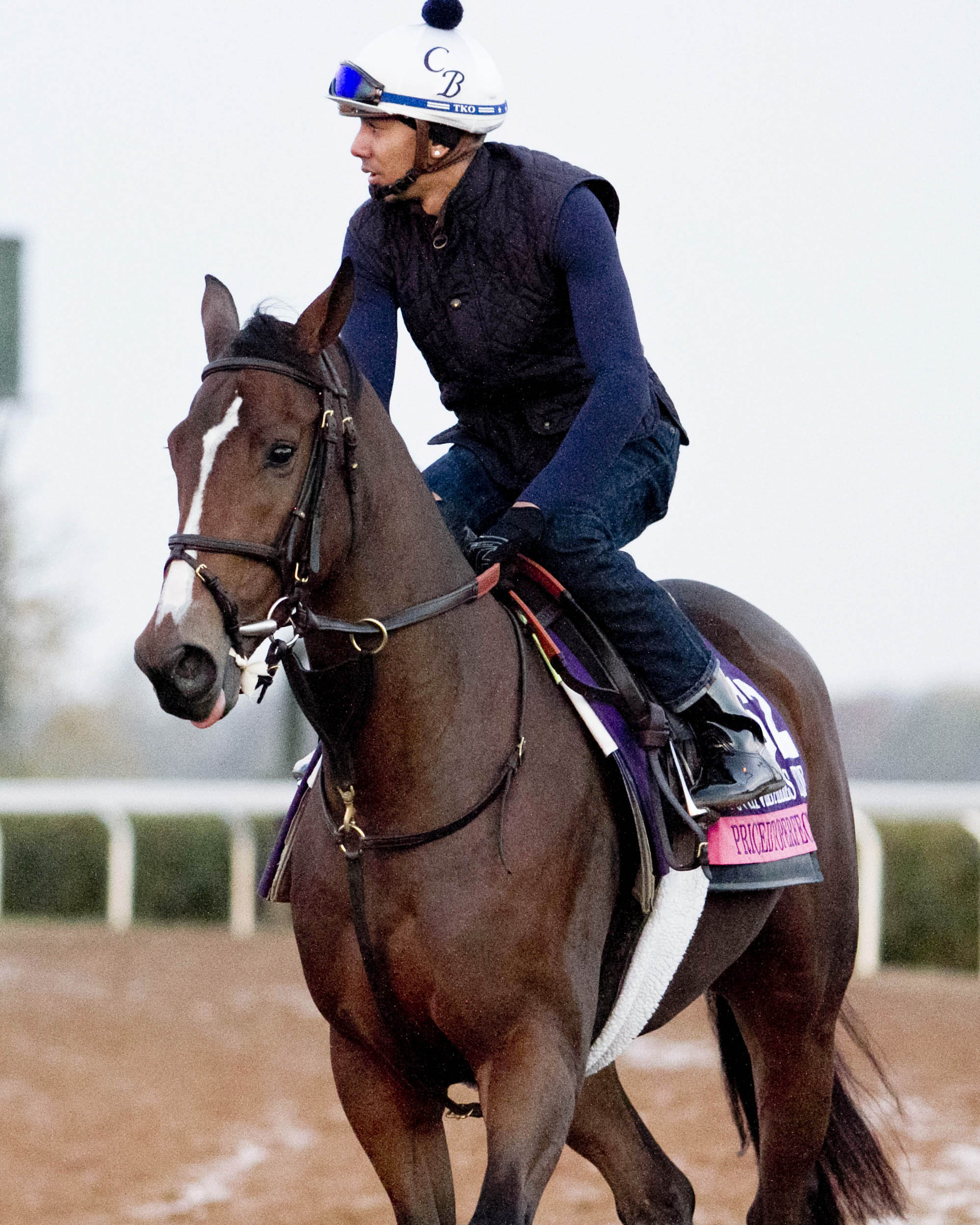 Pricedtoperfection at Santa Anita before Breeders' Cup