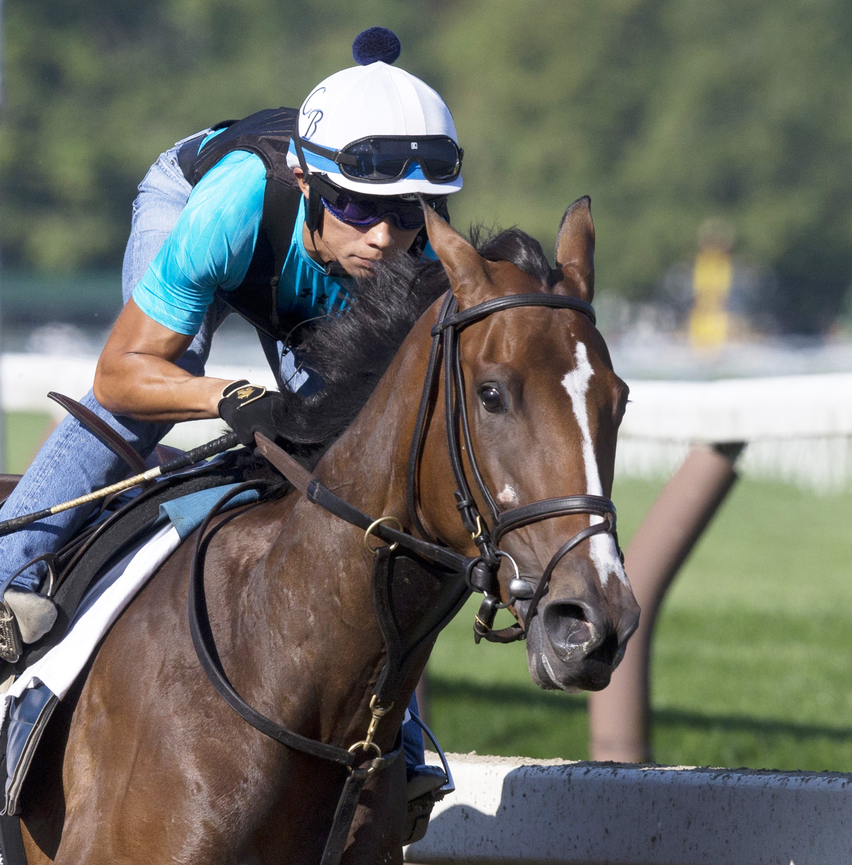 Pricedtoperfection trains at Saratoga in August 2016