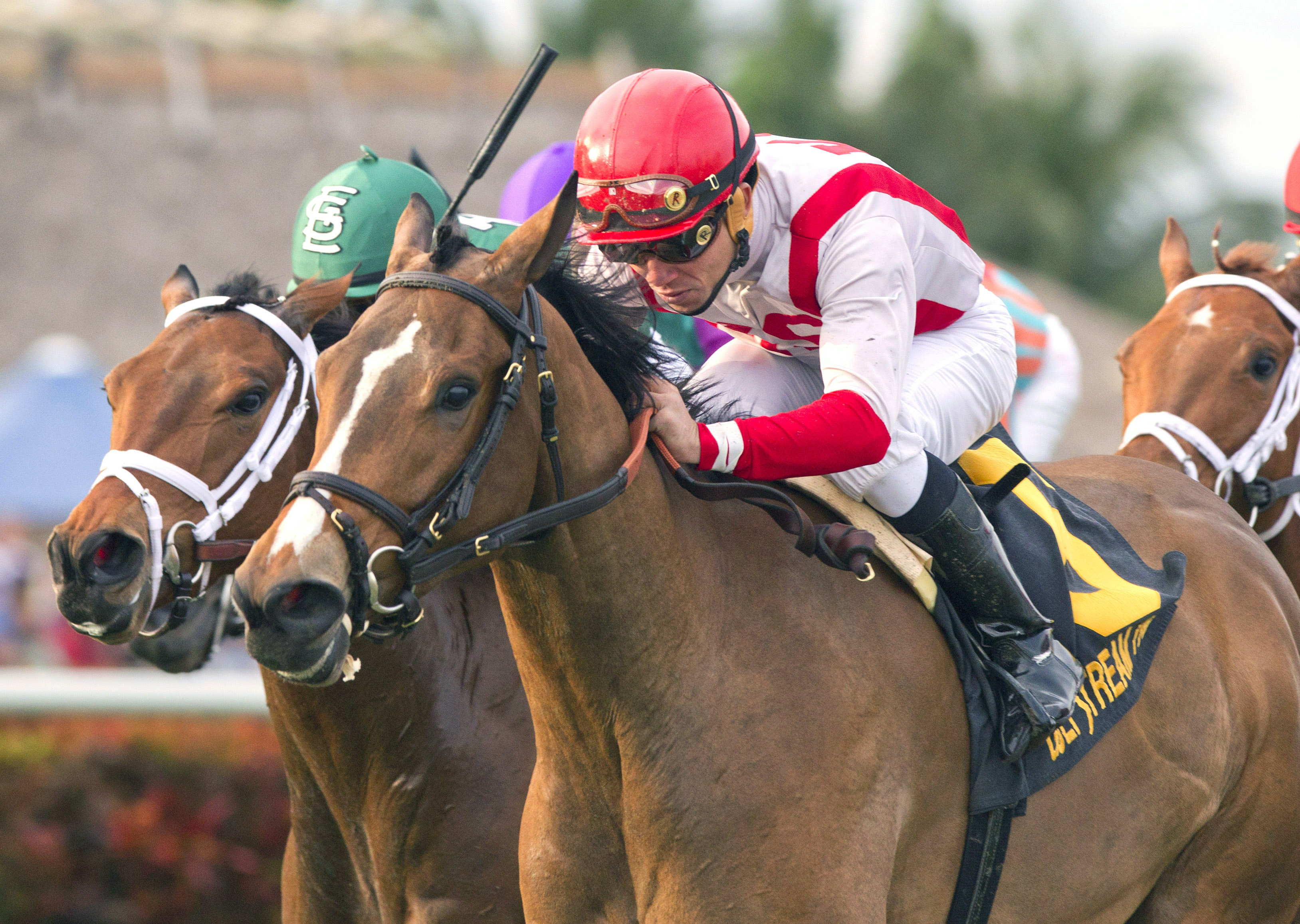 Pricedtoperfection wins the Sweetest Chant