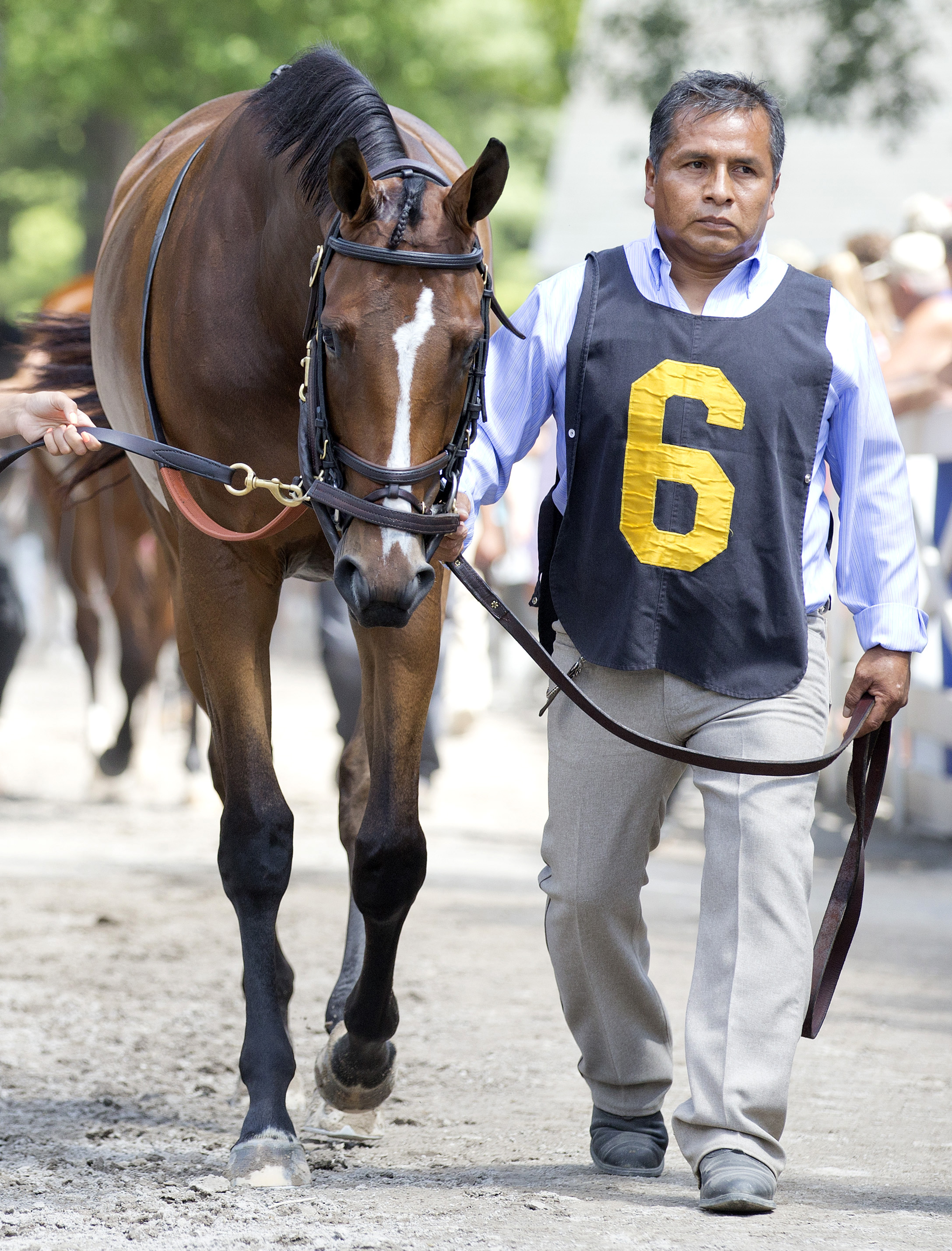 Pricedtoperfection at Saratoga Race Course in August