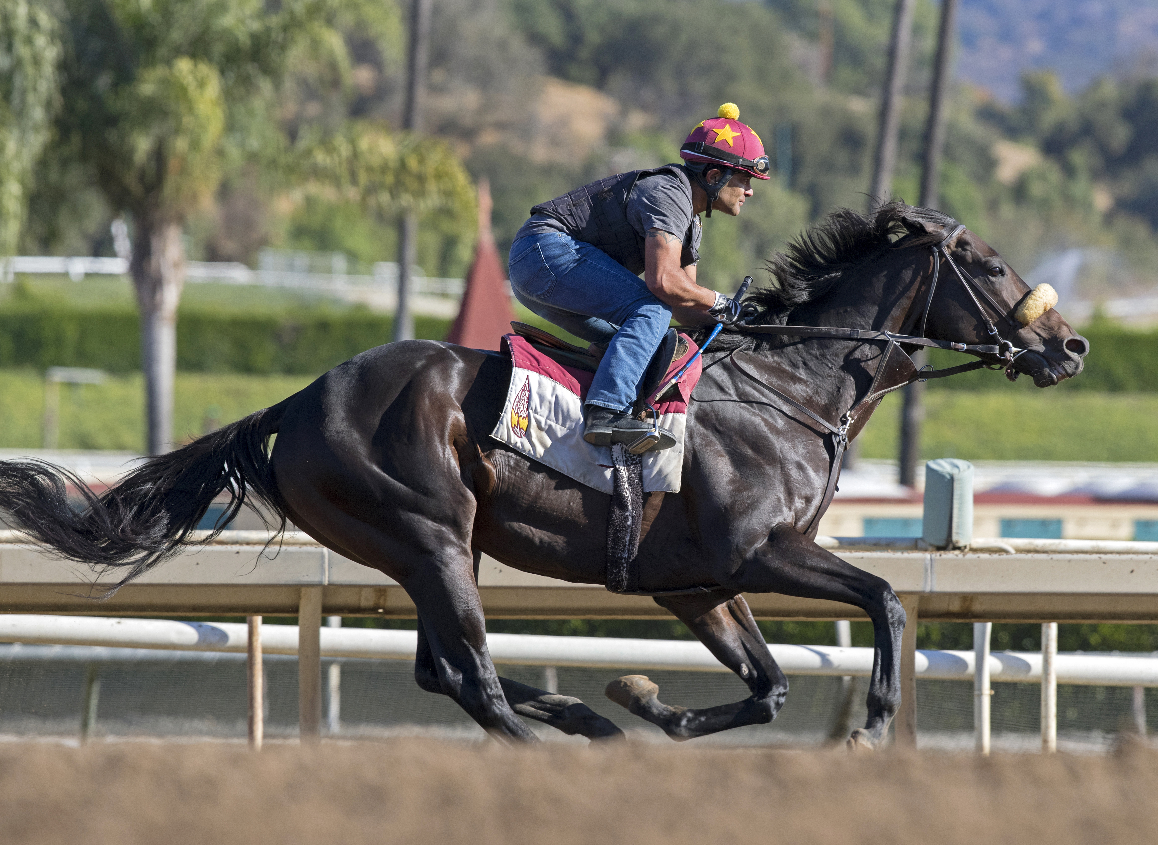 Prime Attraction trains at Santa Anita on Nov. 7