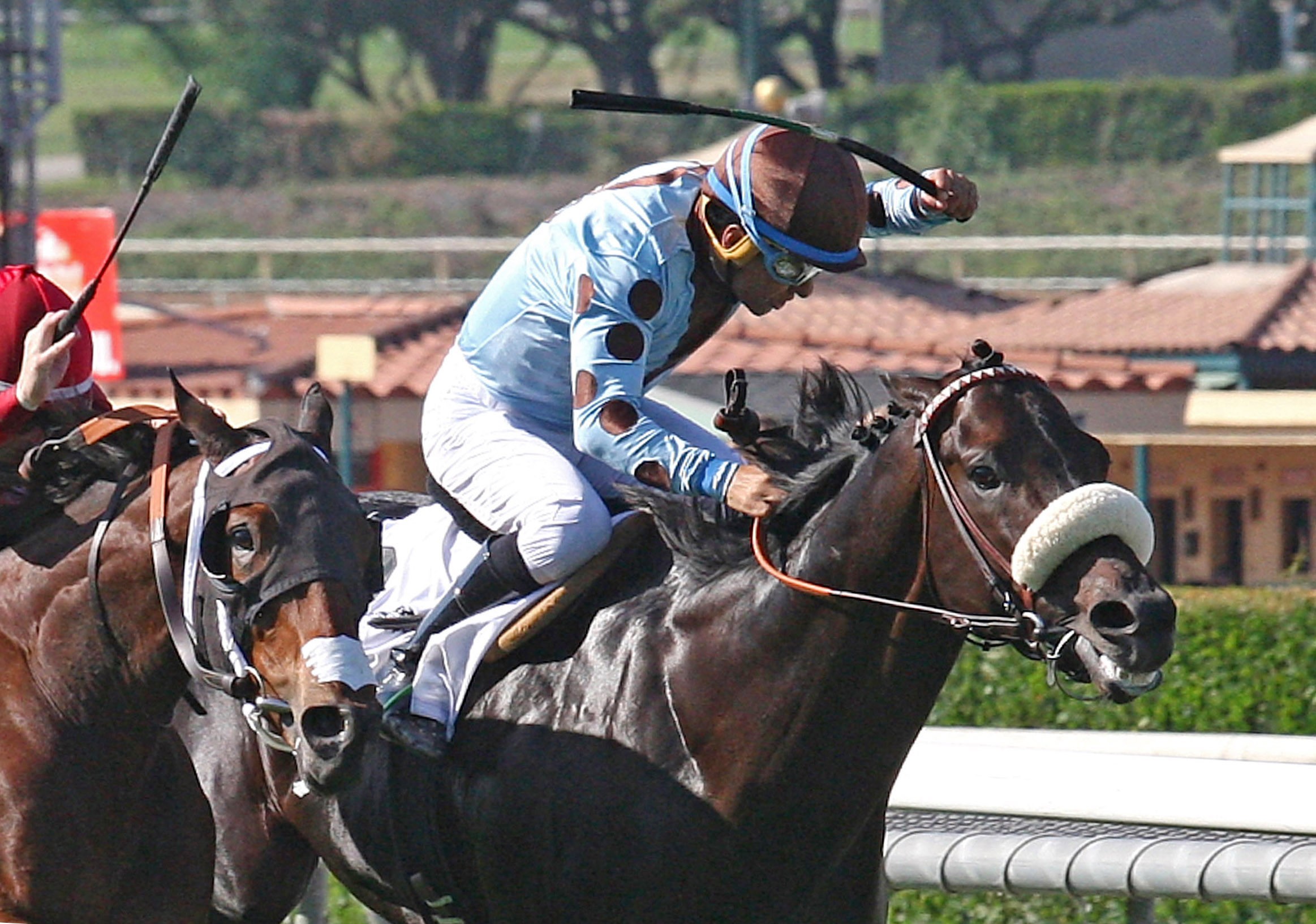 Prime Attraction finishes second in the John Henry Turf