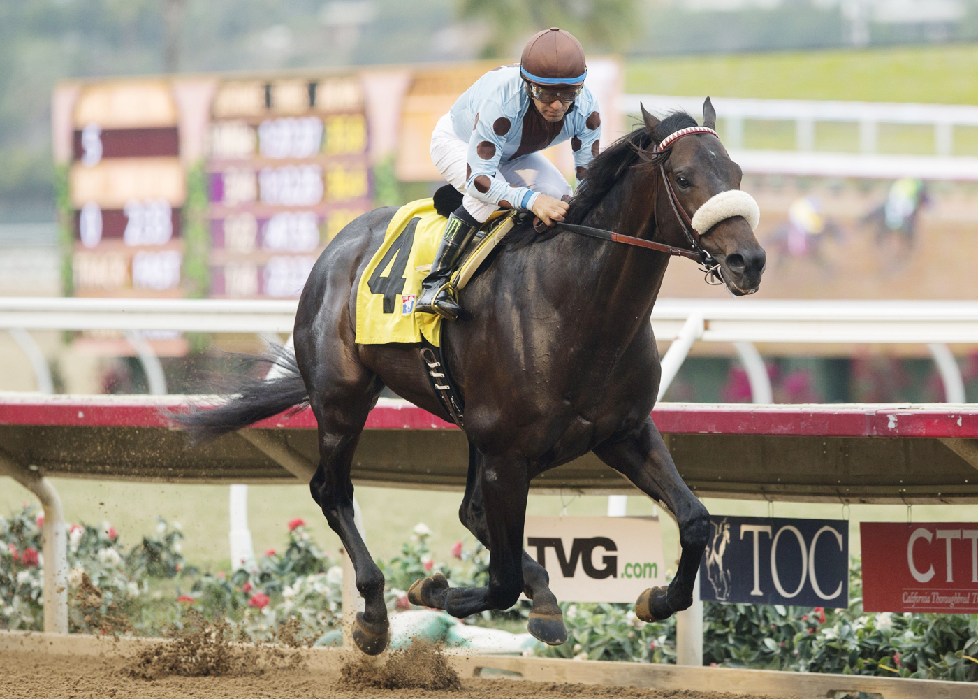 Prime Attraction wins the 2017 Native Diver Stakes