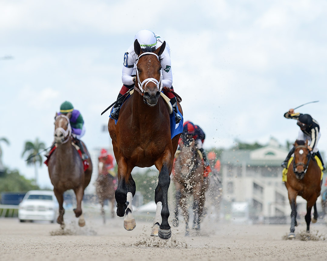 Prime Factor wins a Dec. 12 maiden race at Gulfstream Park