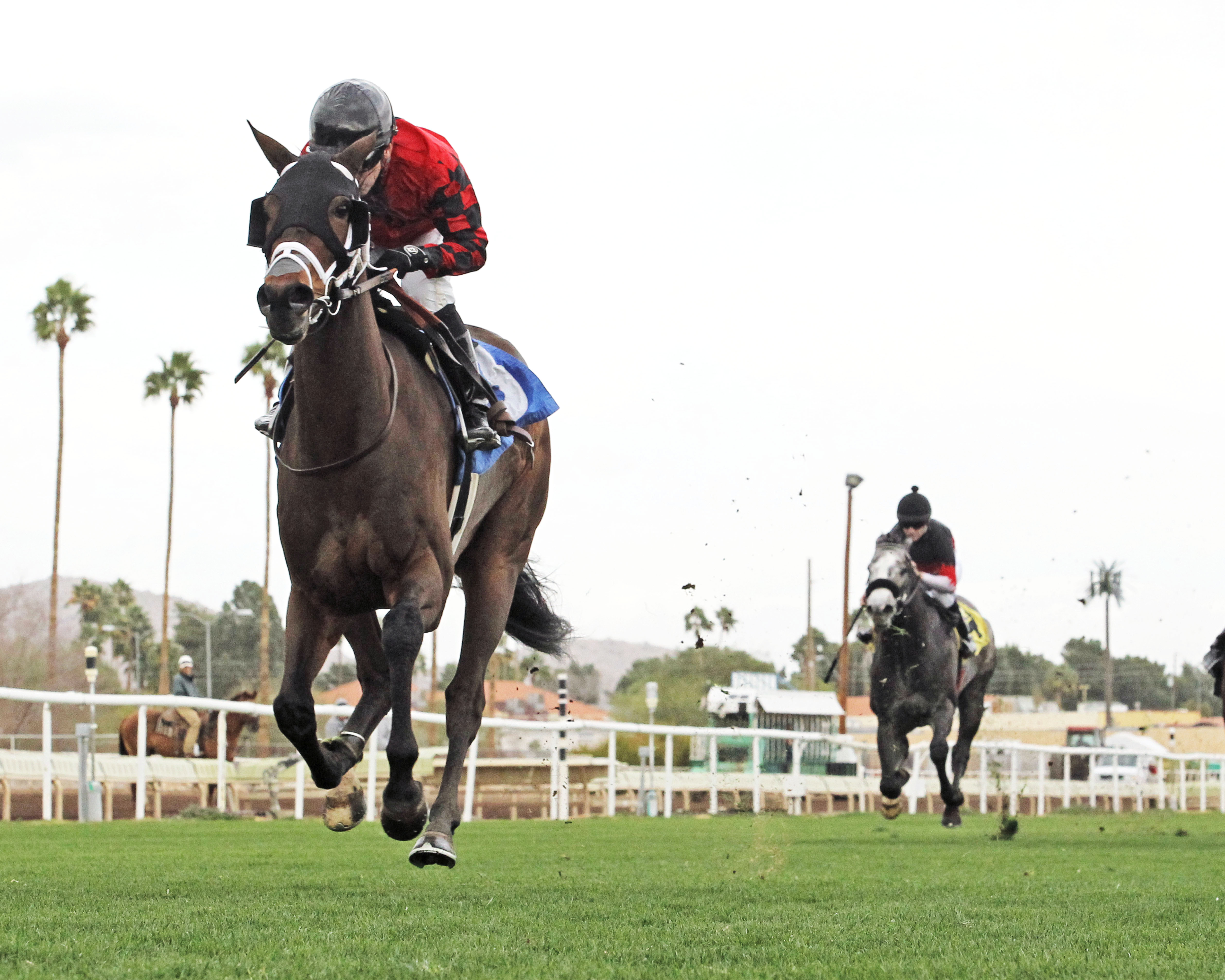 Primo Touch wins the 2018 Startac Stakes