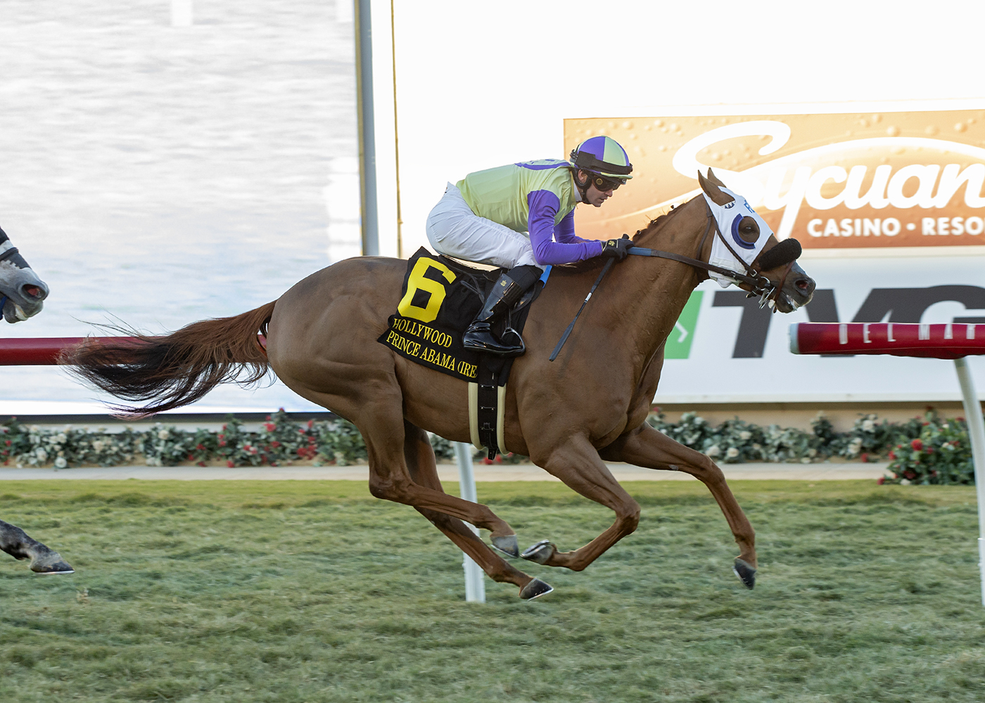 Prince Abama - Hollywood Turf Cup S. 2022