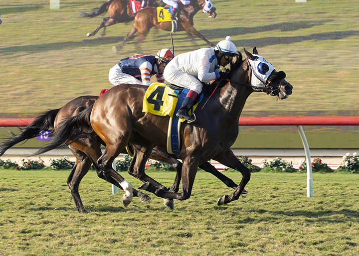 Prince Earl wins a Sept. 1 allowance race