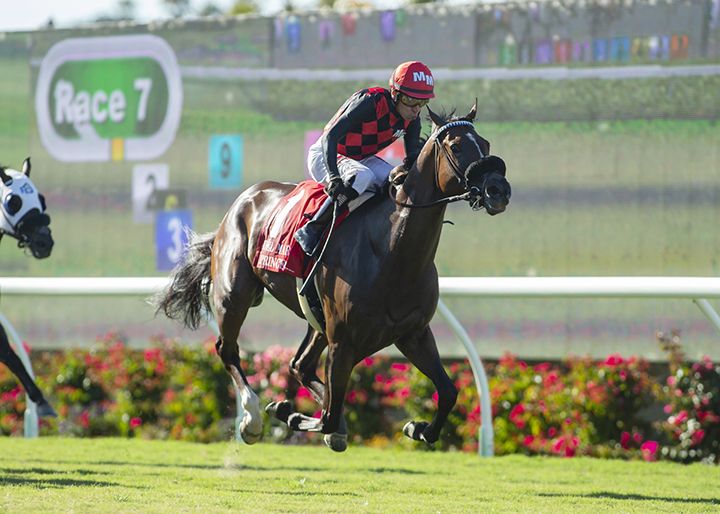 Prince Earl wins the 2019 Del Mar Mile at Del Mar