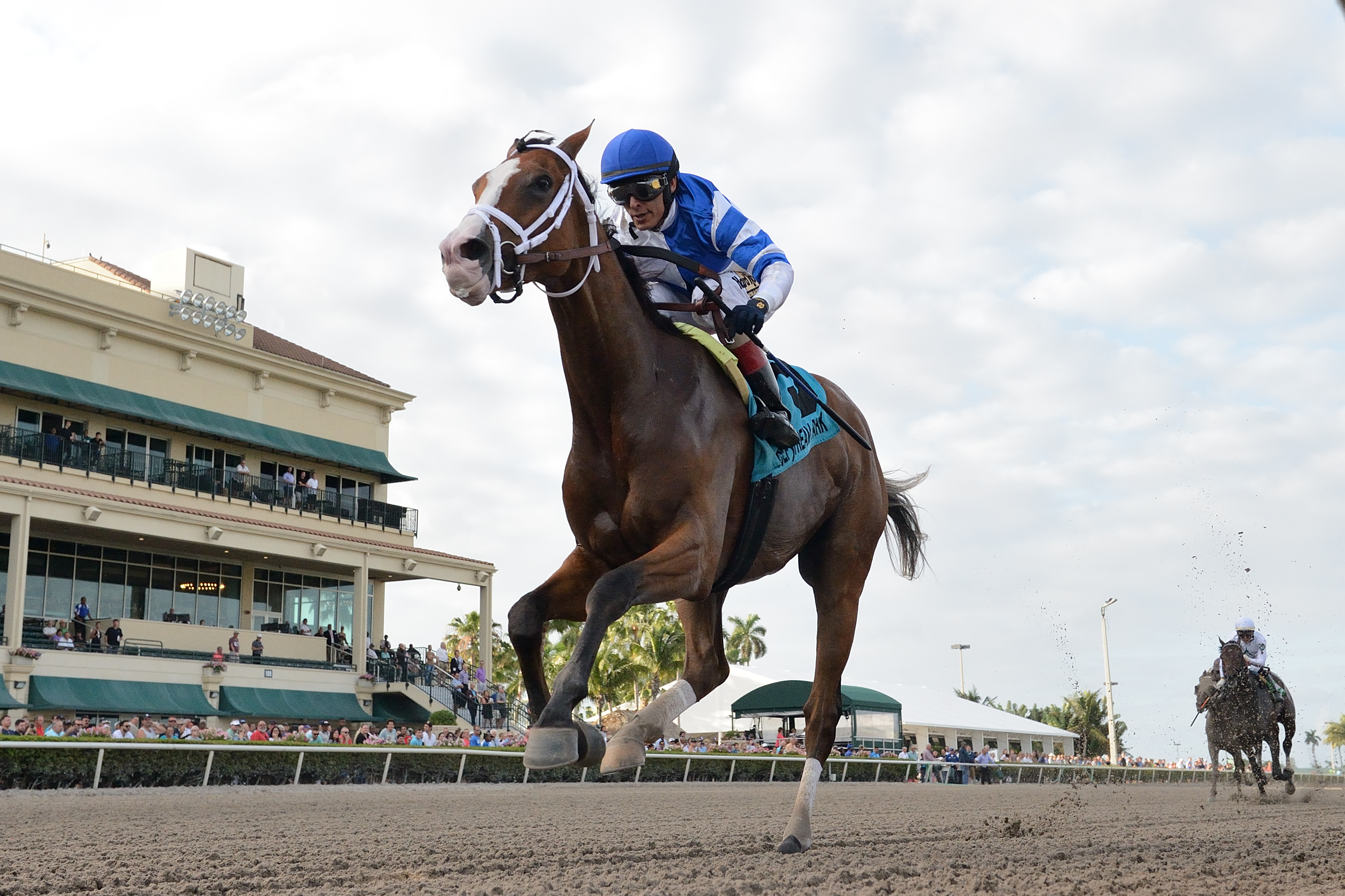 Prince Lucky wins the 2019 Hal-s Hope Stakes