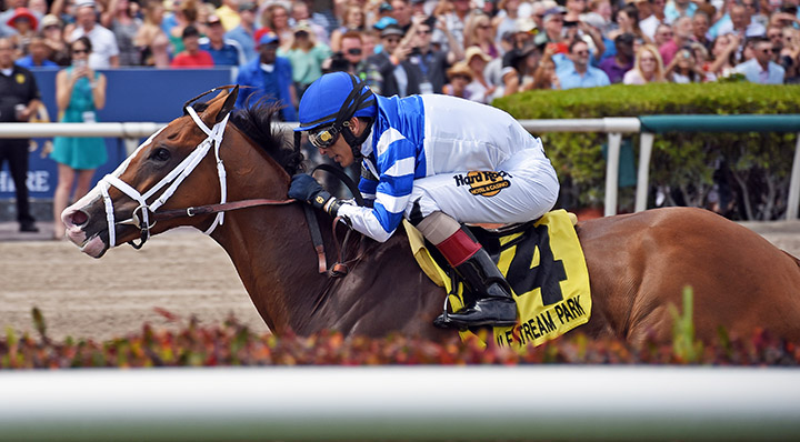 Prince Lucky wins the 2019 GP Mile