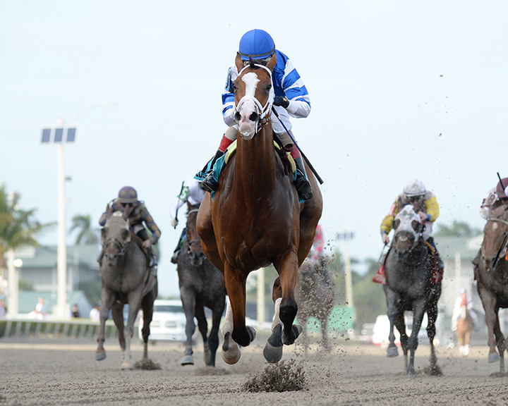 Prince Lucky wins the 2019 Hal-s Hope