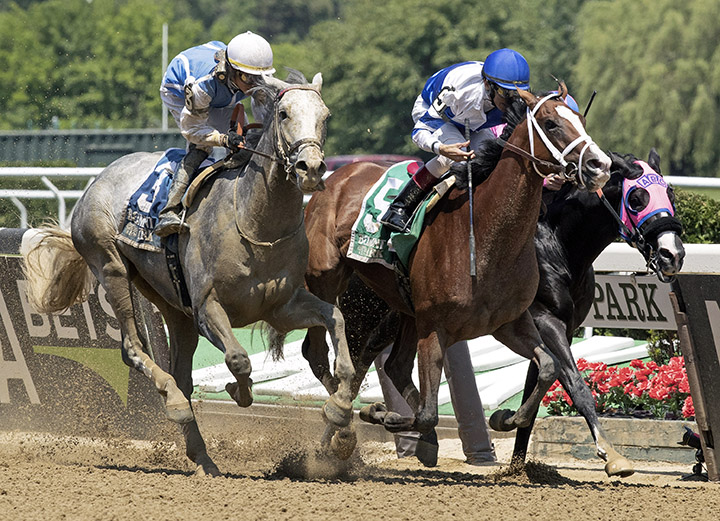 Rugbyman finishes second in the Easy Goer Stakes