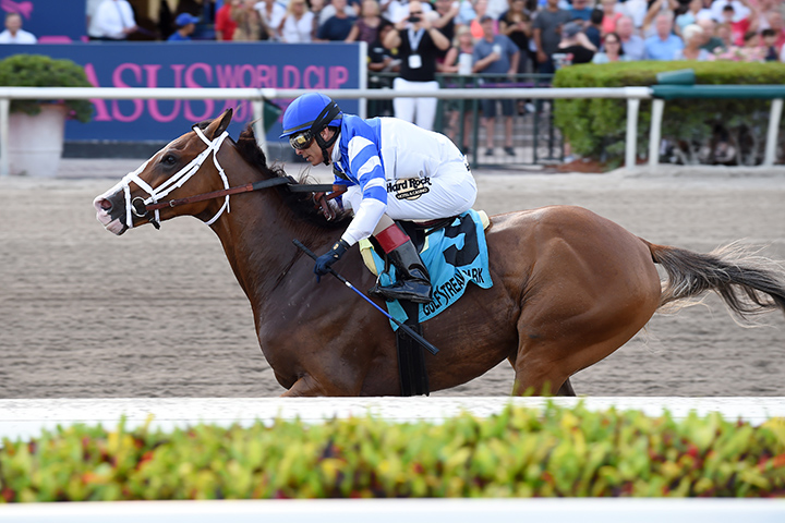Prince Lucky wins the 2019 Hal-s Hope