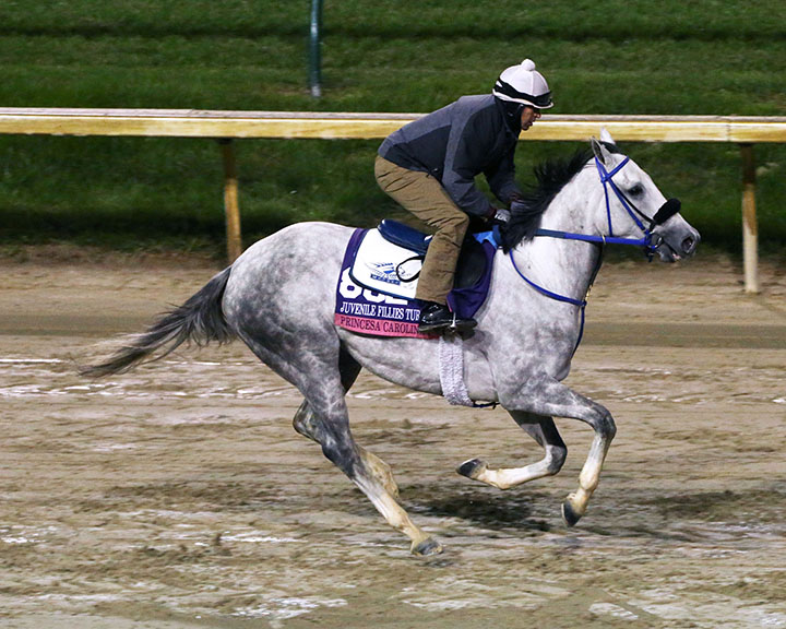 Princesa Carolina trains at Churchill in October 2018