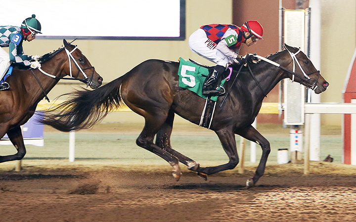 Princesinha Julia wins a Nov. 21 allowance at Remington Park