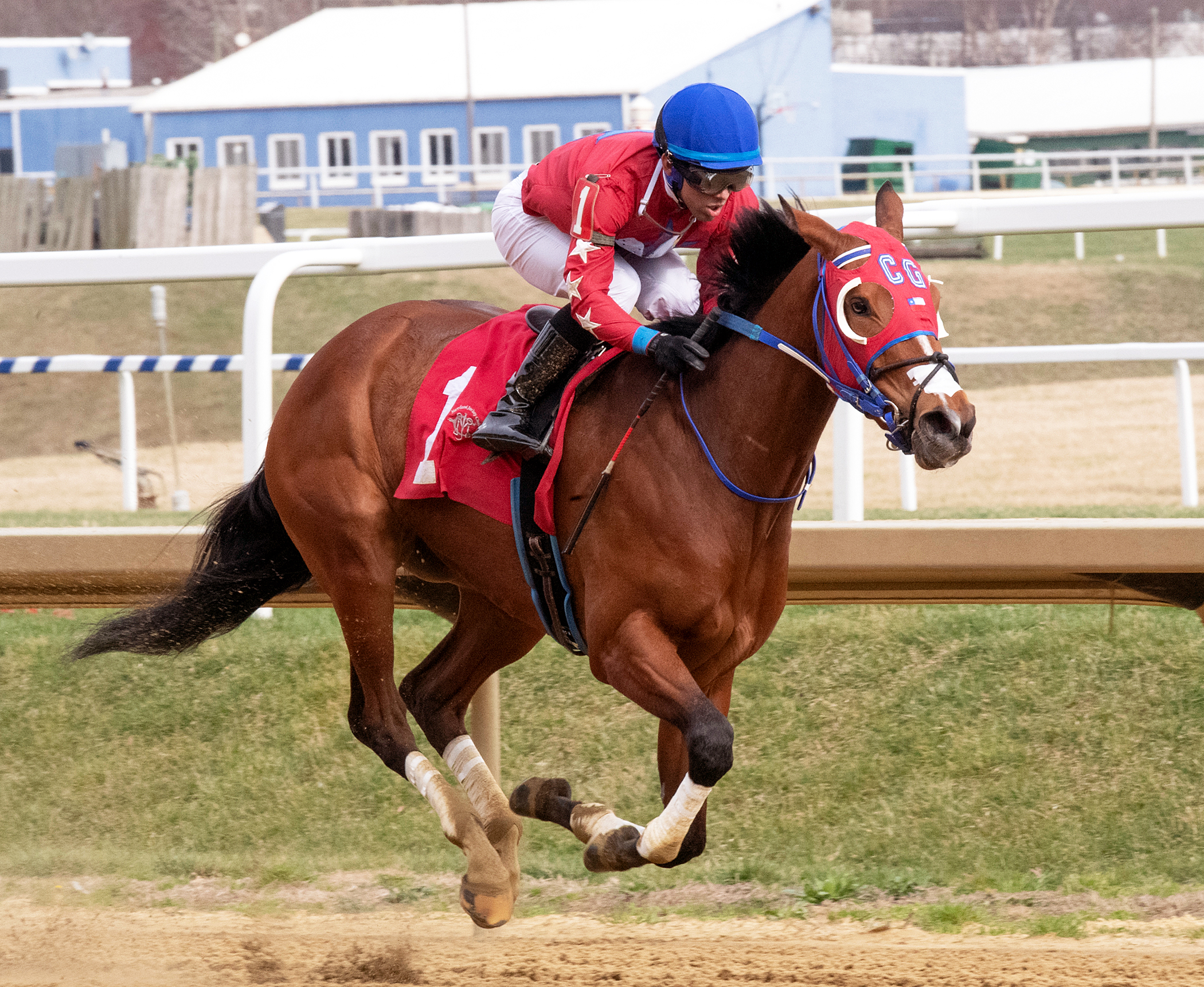 Princess Cadey wins the 2020 Beyond the Wire Stakes