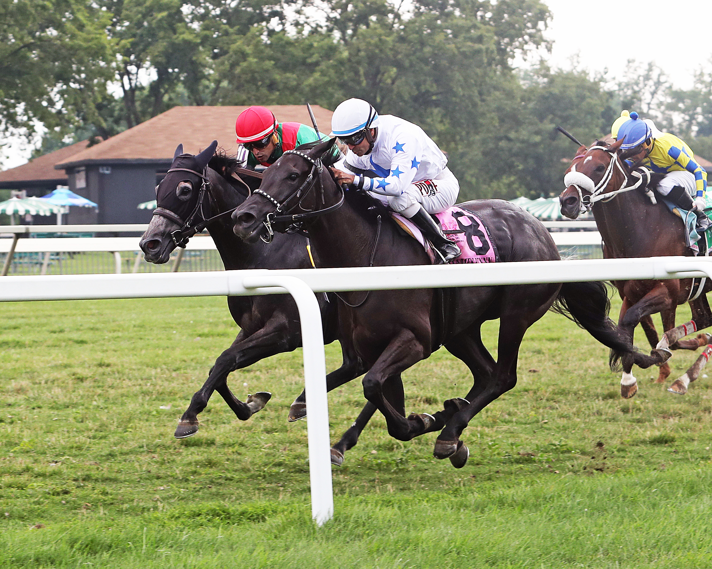 Princess Grace (foreground) outbattles Madita in the Dr. James Penny Memorial at Parx.7-6-2021