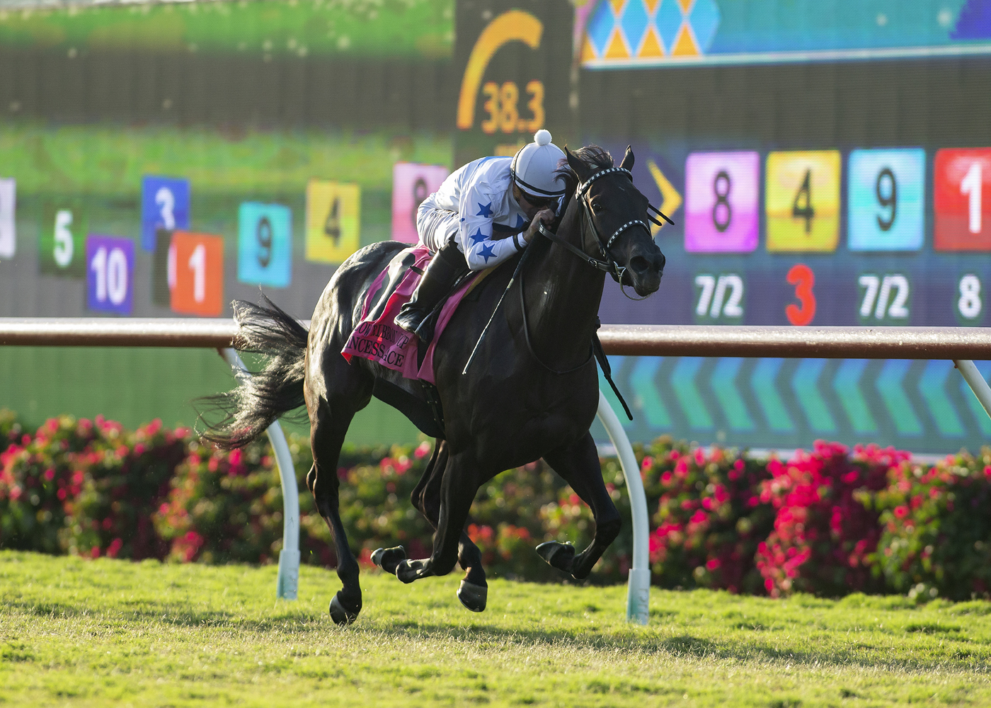 Princess Grace wins Yellow Ribbon 8-7-2021