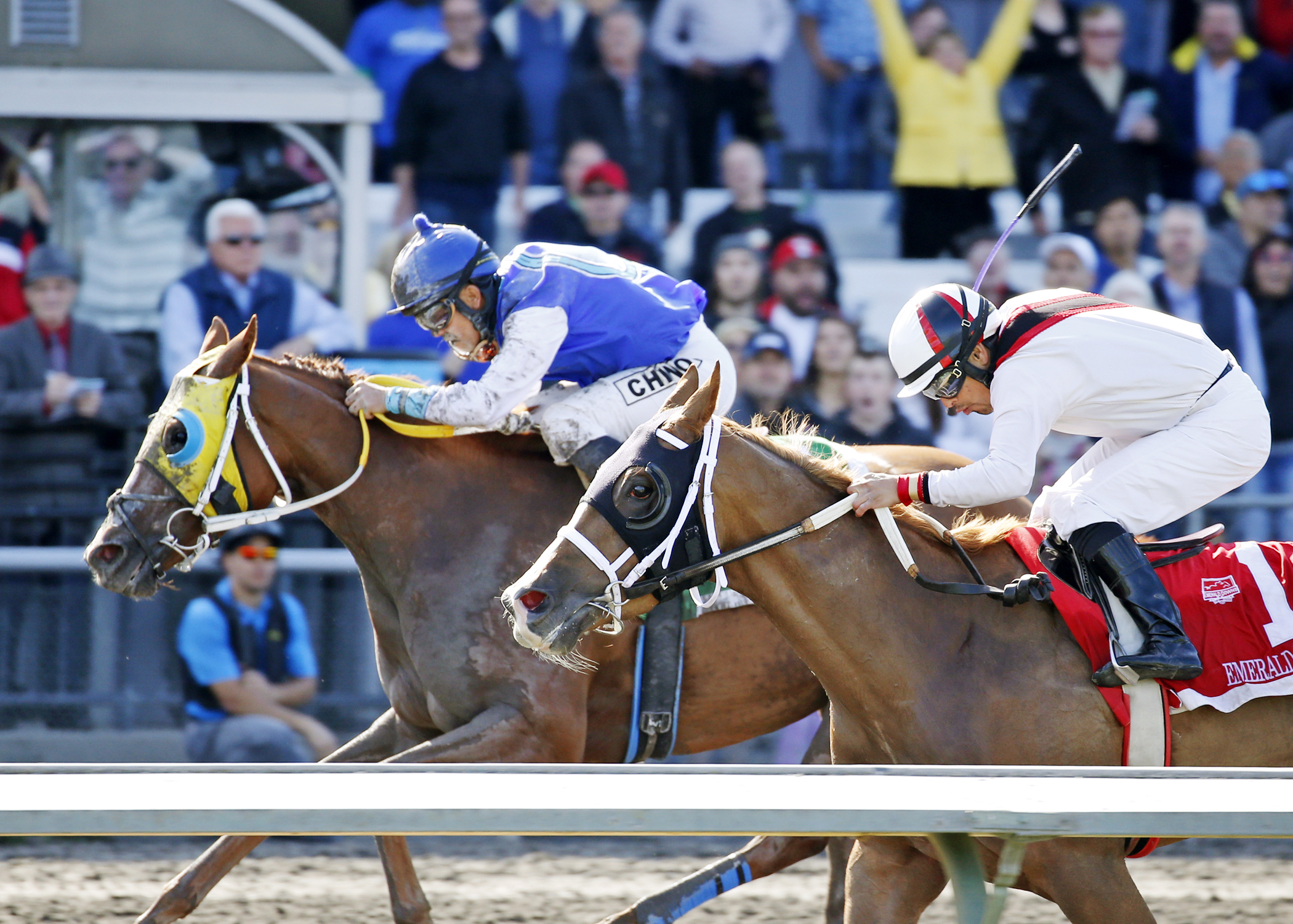 Princess Katie wins the Irish Day Stakes