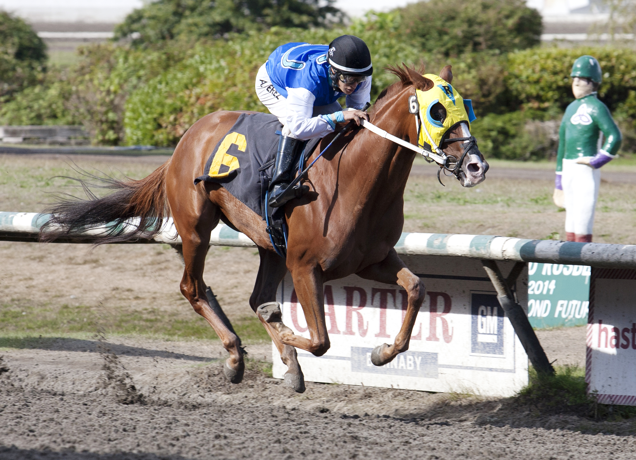 Princess Katie wins the CTHS Sales Stakes
