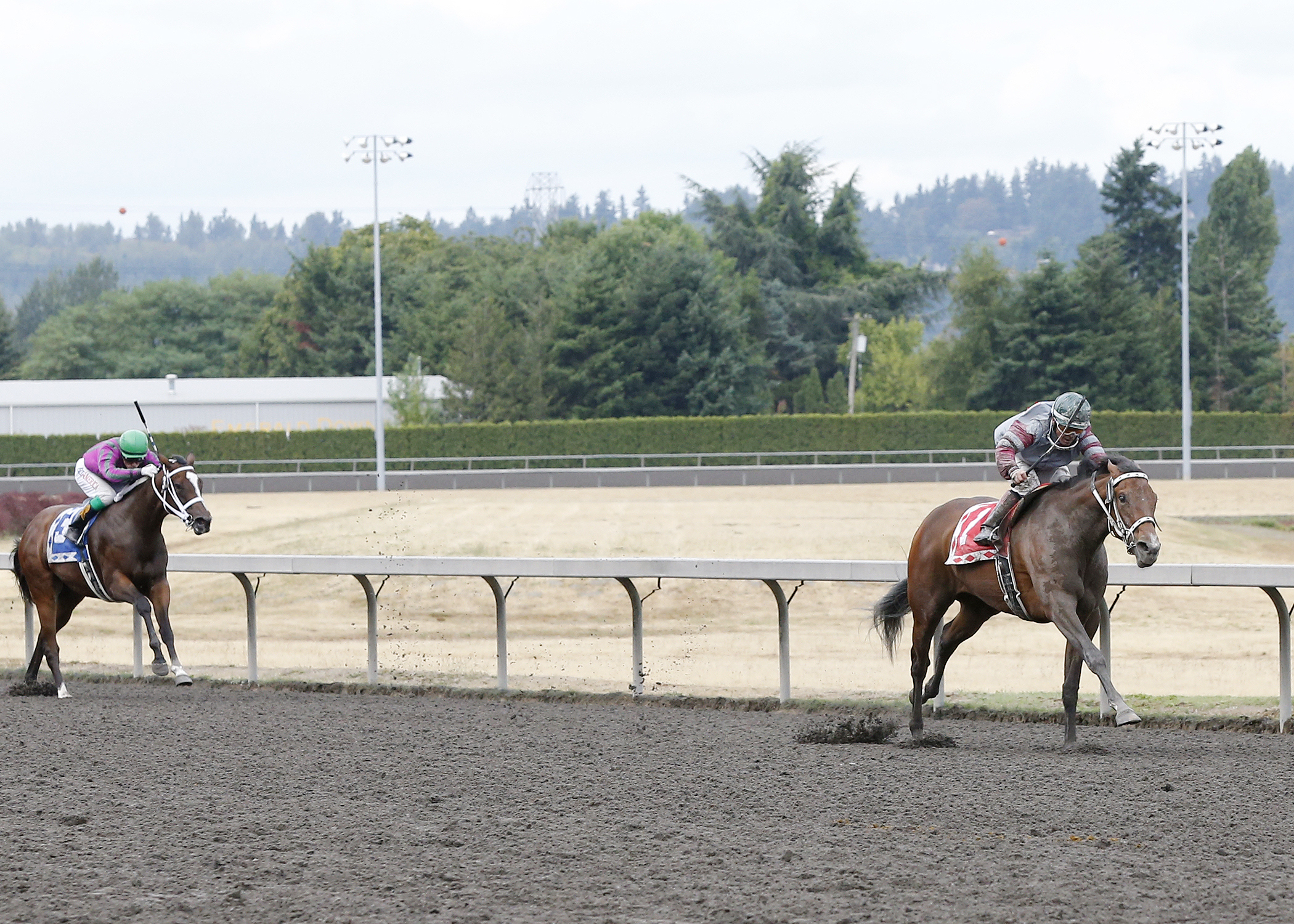 Princess Kennedy wins the Barbara Shinpoch Stakes