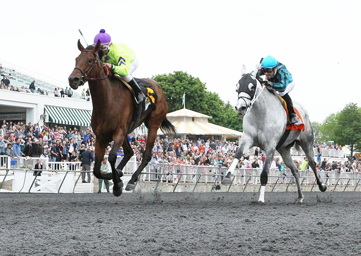 Daddy's Boo finishes second in the 2018 Arlington Matron