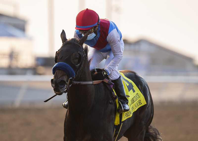 Princess Noor/Del Mar Debutante