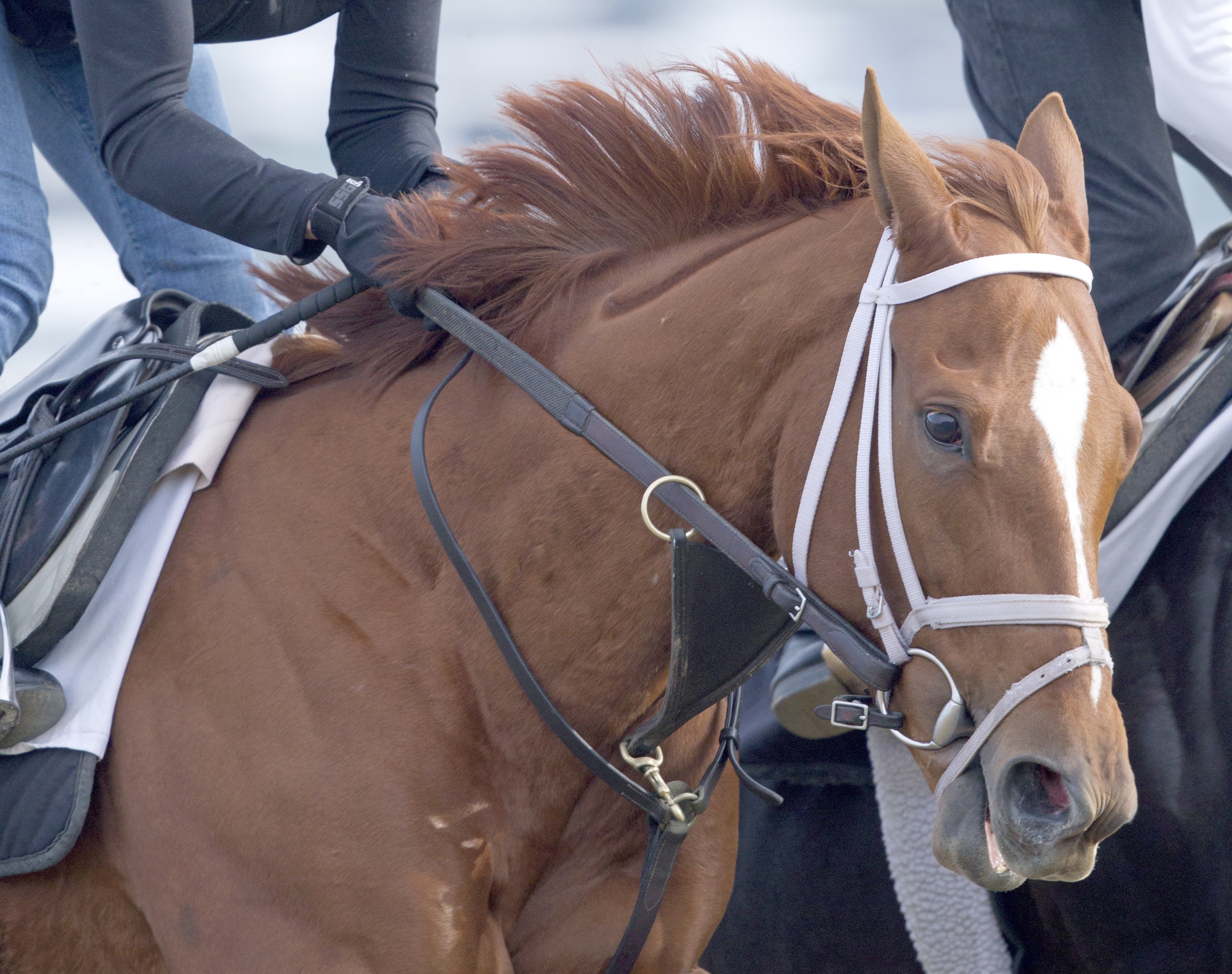 Princess of Sylmar
